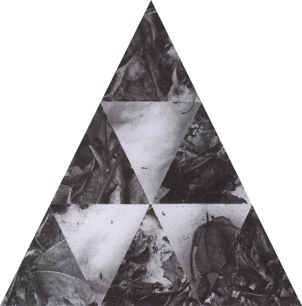 2025_MIDNIGHTUMBRELLA_Collage_Snowbound_Crop&Trim.jpg