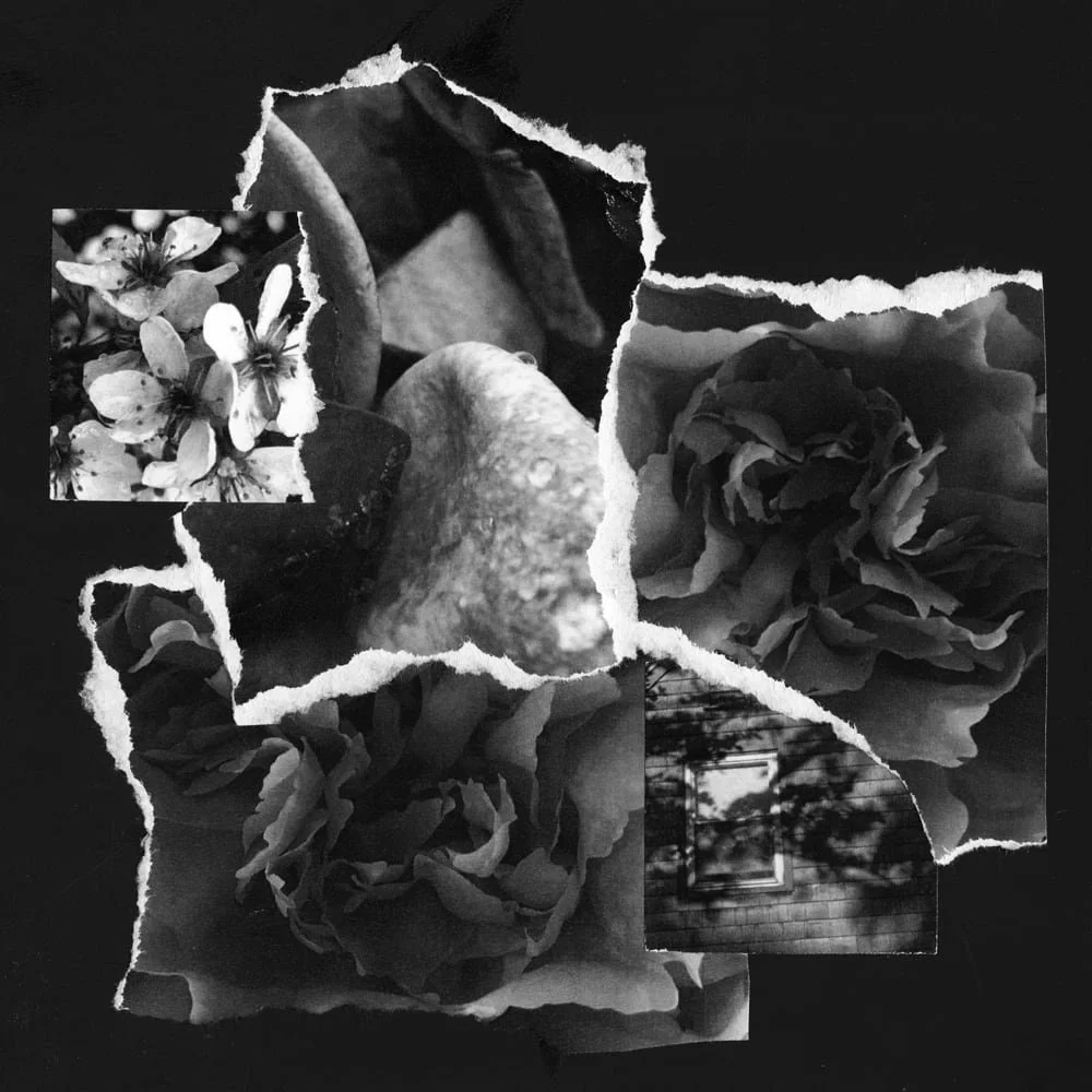 2025_MIDNIGHTUMBRELLA_Collage_AfternoonInTheBackyard_Crop&Trim.jpg