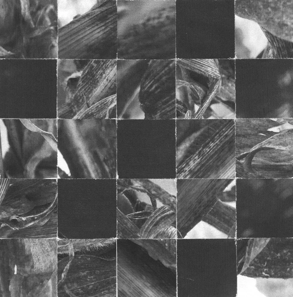 2025_MIDNIGHTUMBRELLA_Collage_Cornfiber_Crop&Trim.jpg