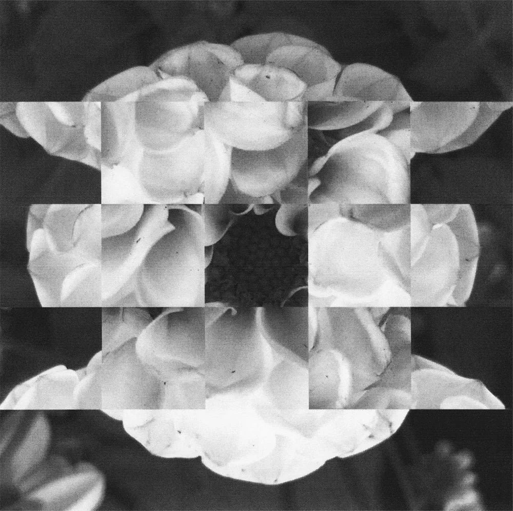 A mosaic-style image of a flower with multiple photos combined into a grid pattern, creating a layered and artistic effect.