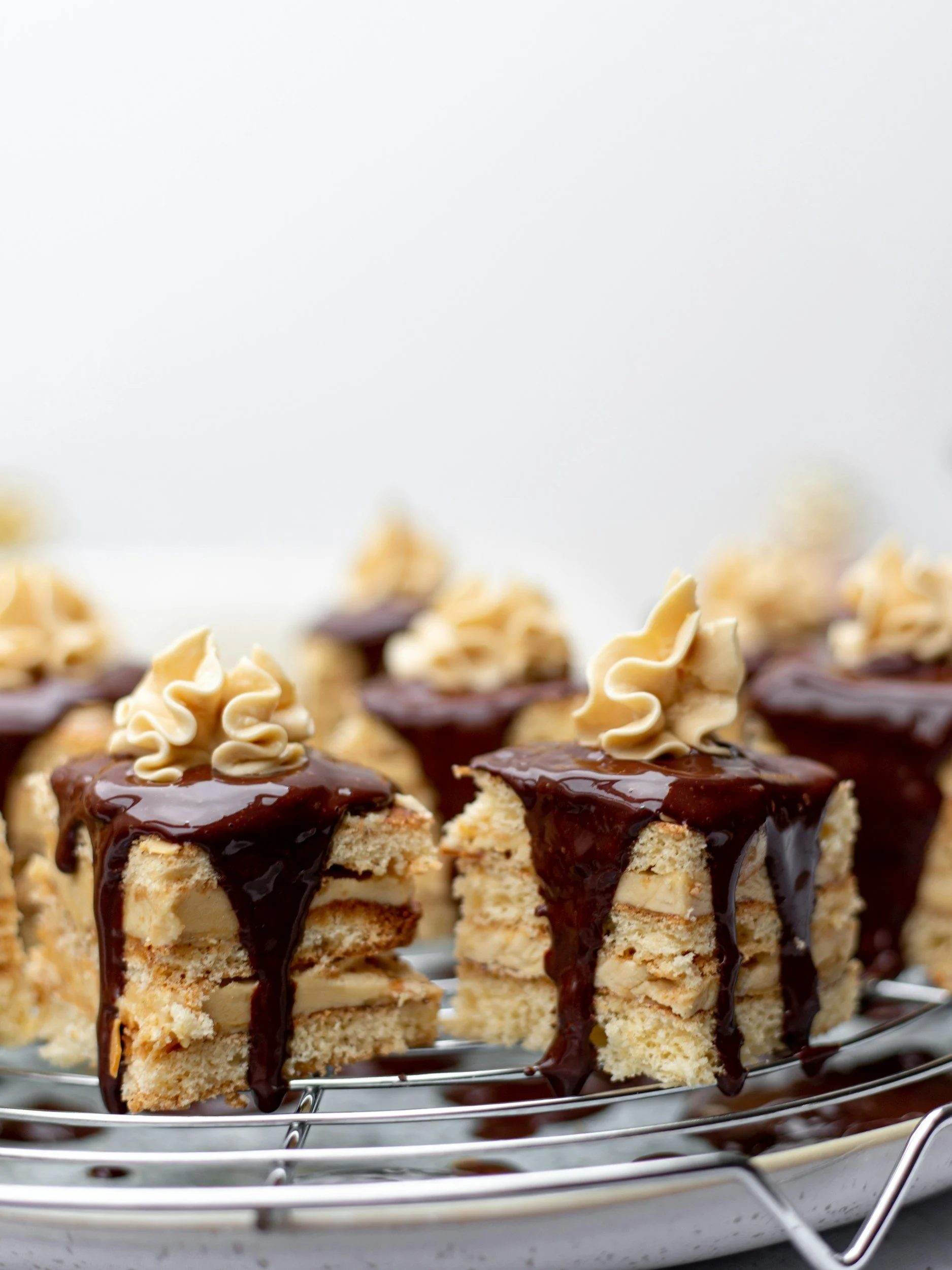 SWISH Coffee & Dessert Night