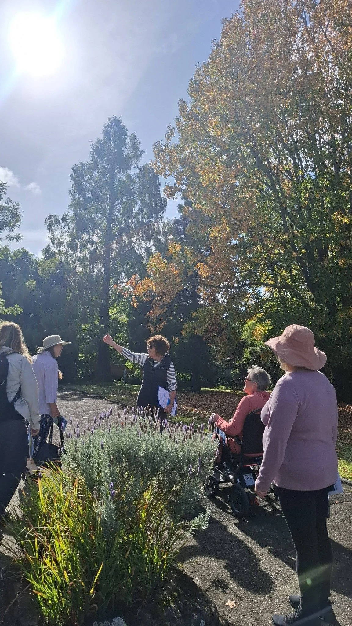 Springwood Anglican Walkers – June Walk