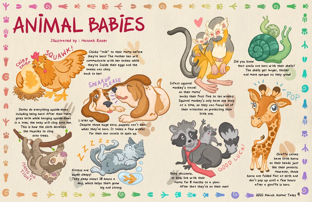 Animal Babies - Animal Tales Magazine — Hannah Roser Studio