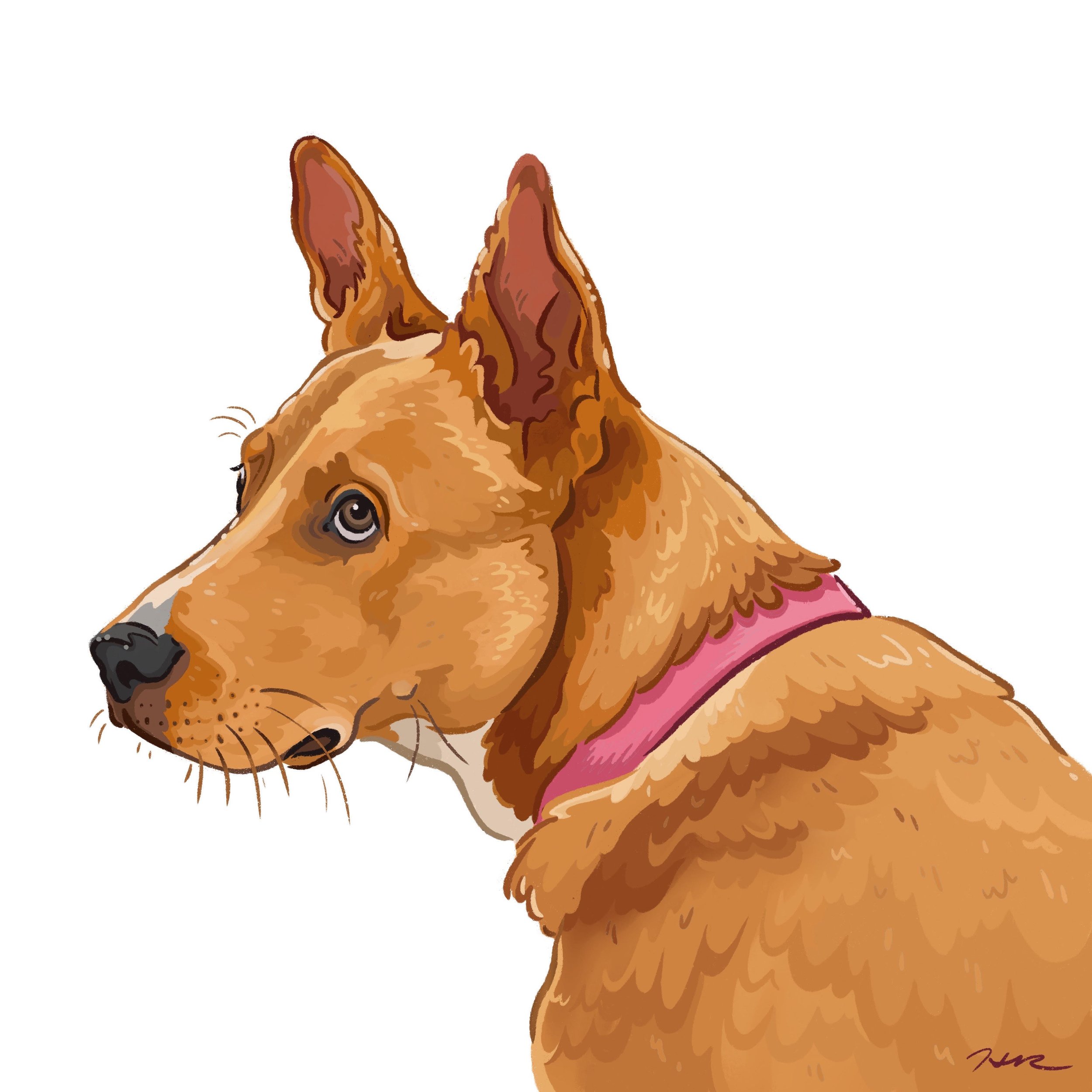 Bella