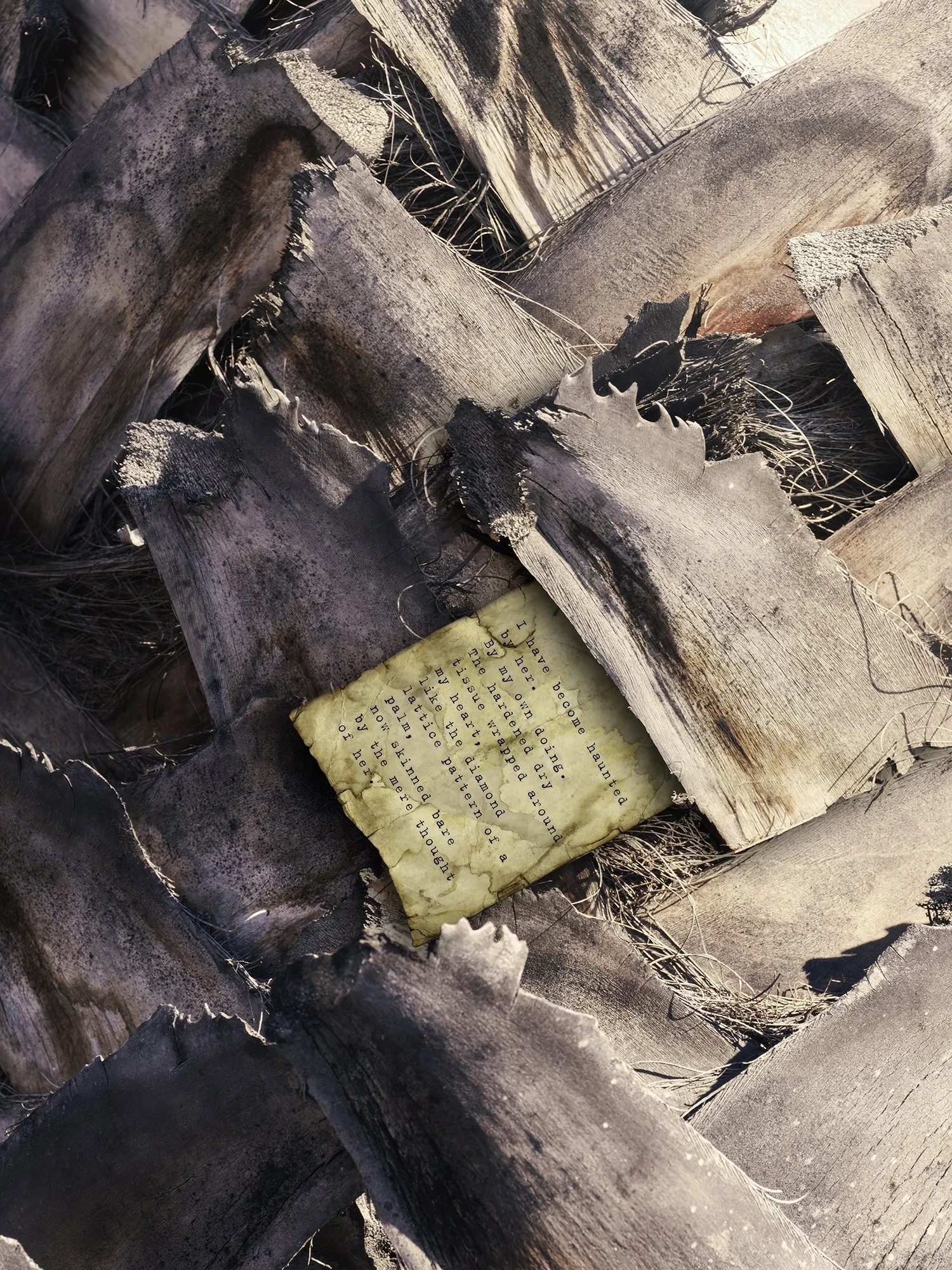 MFA_Online_04653660_5 copy.jpg