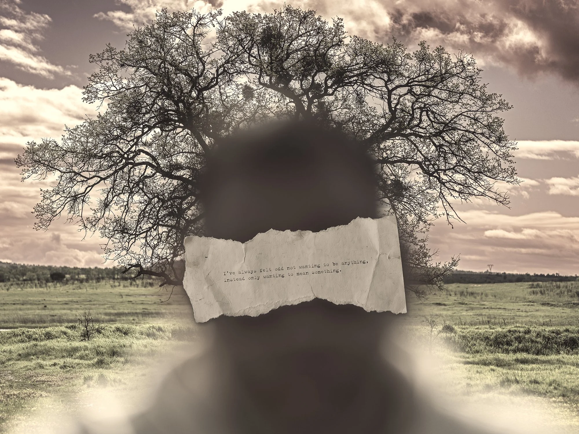 Bloom (Self Portrait), 31/03/2025