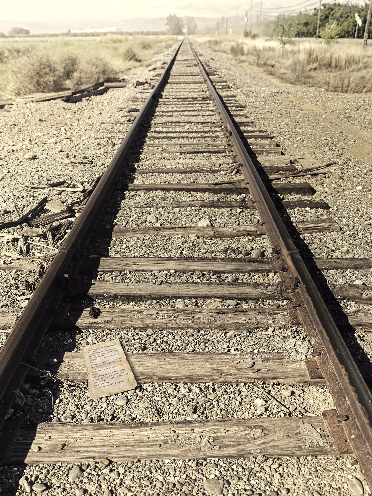 Thoughts of Disappearing, 11/10/2025