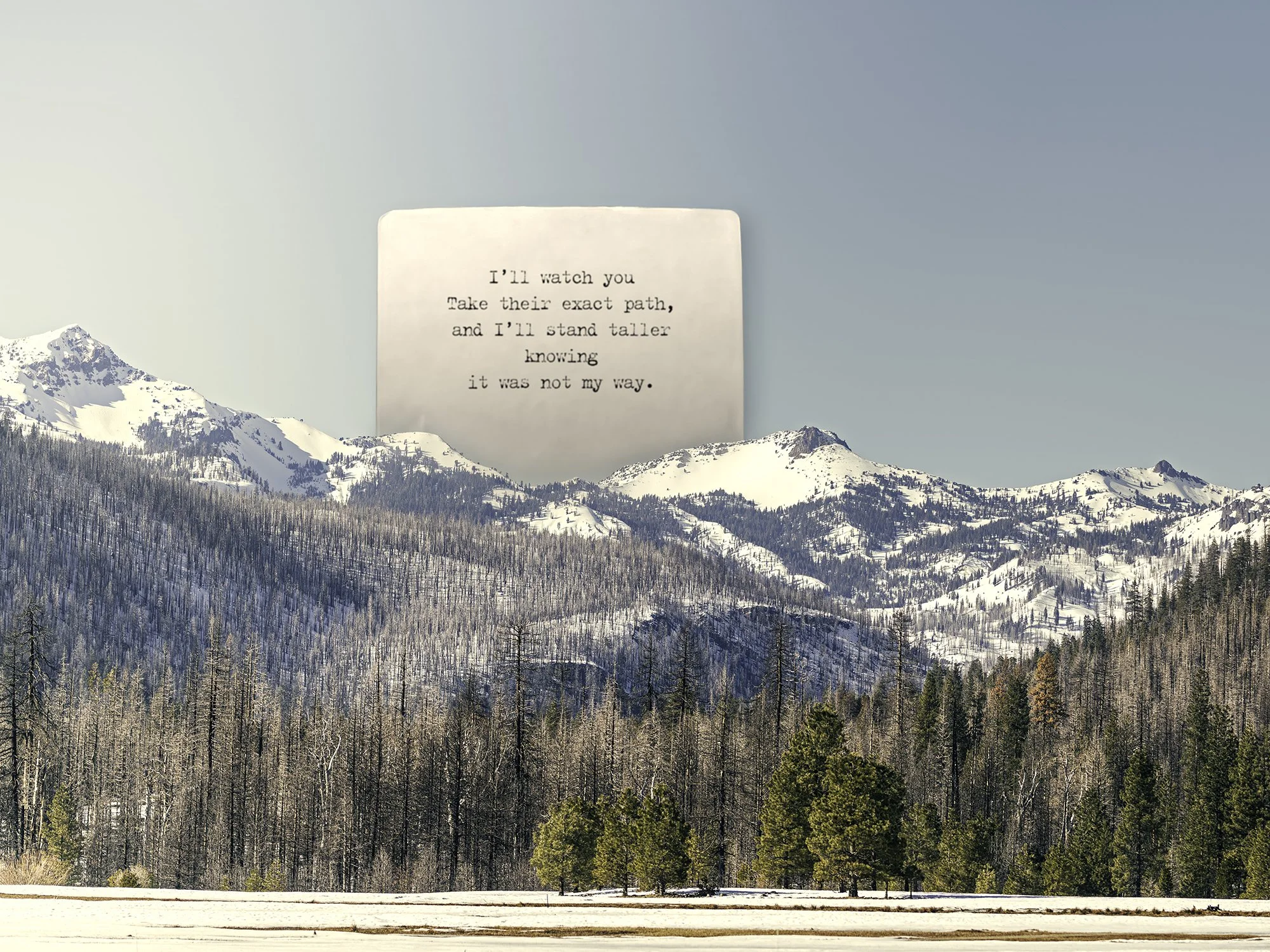 Path of Impermanence, 01/03/2025