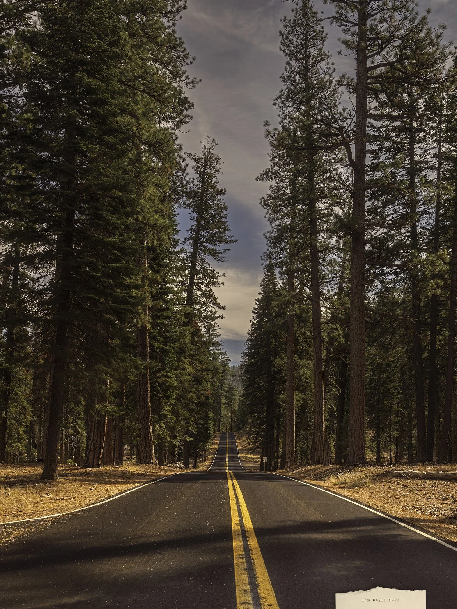 I'm Still Here, 20/10/2024