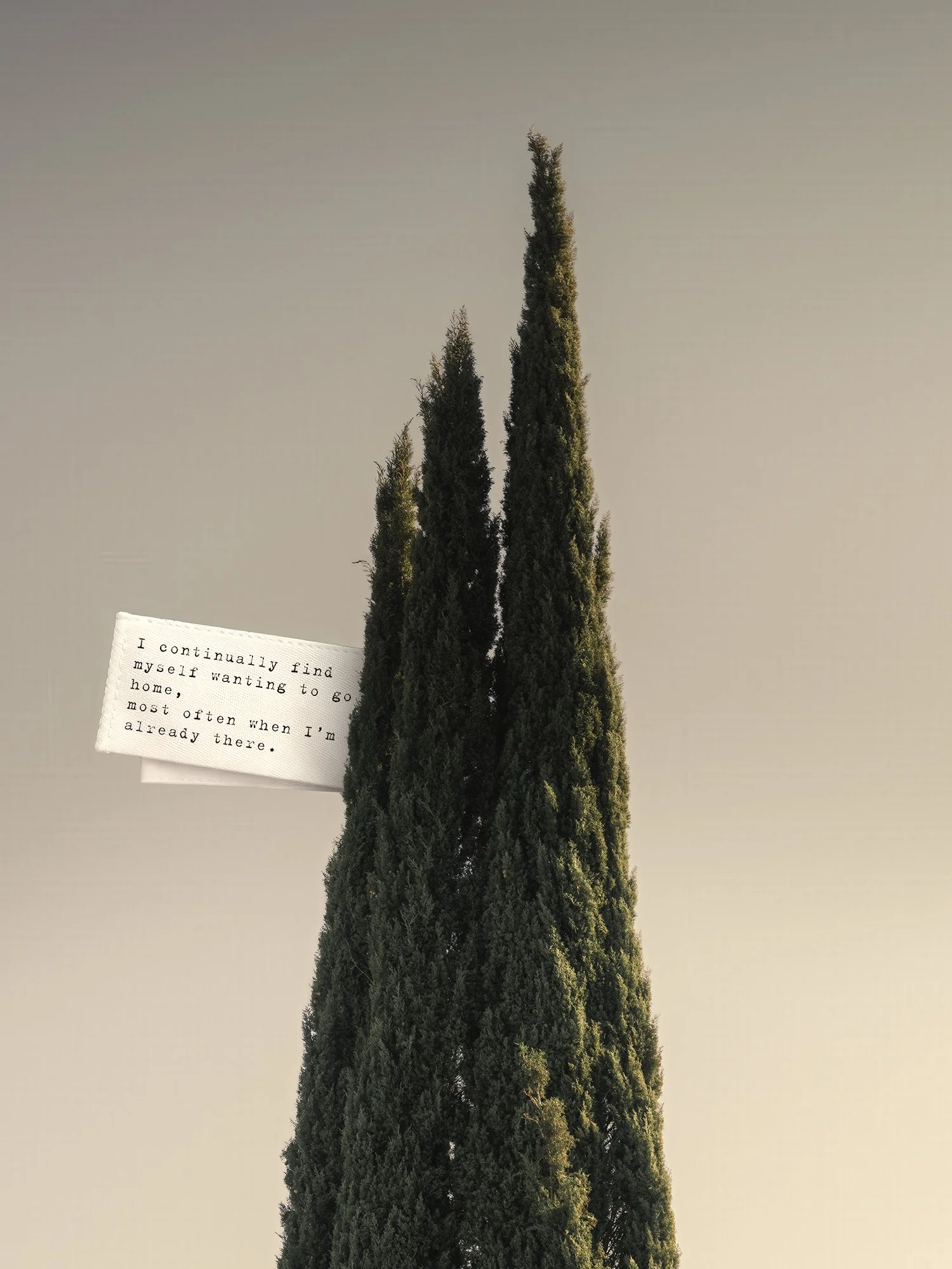 DO NOT REMOVE, 19/02/2026