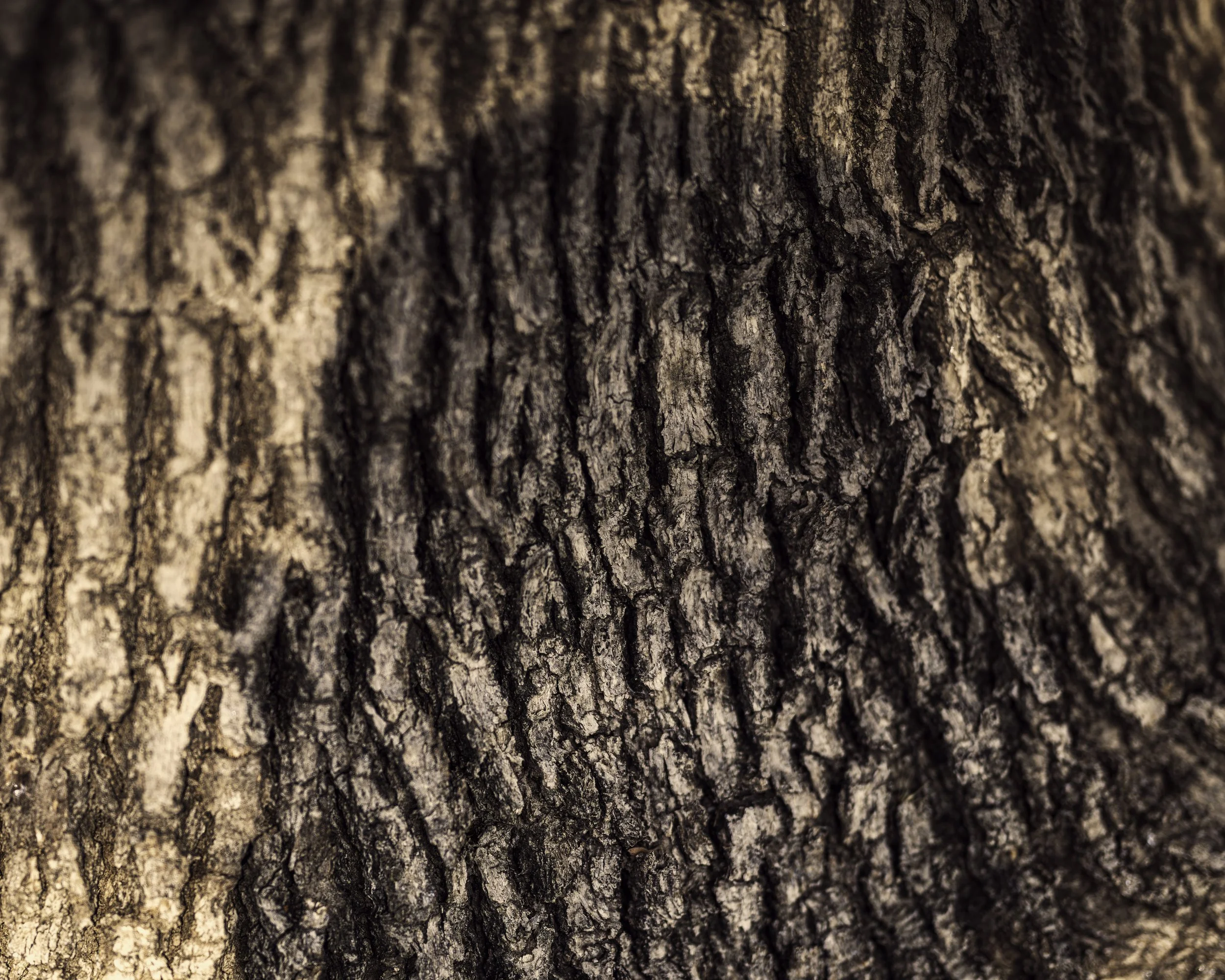 The Month of September copy.jpg