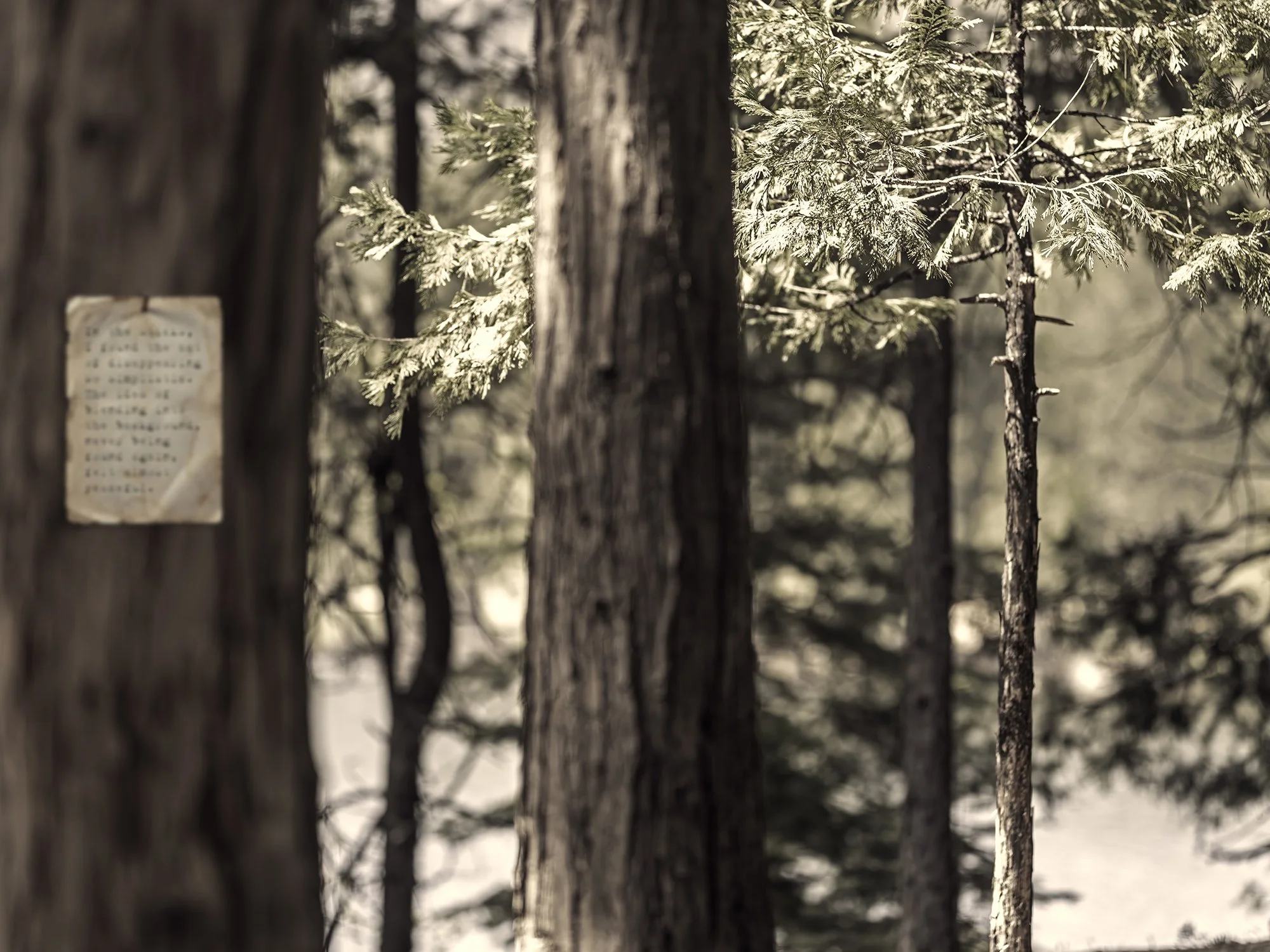 In the Sticks (Part 2), 27/04/2025