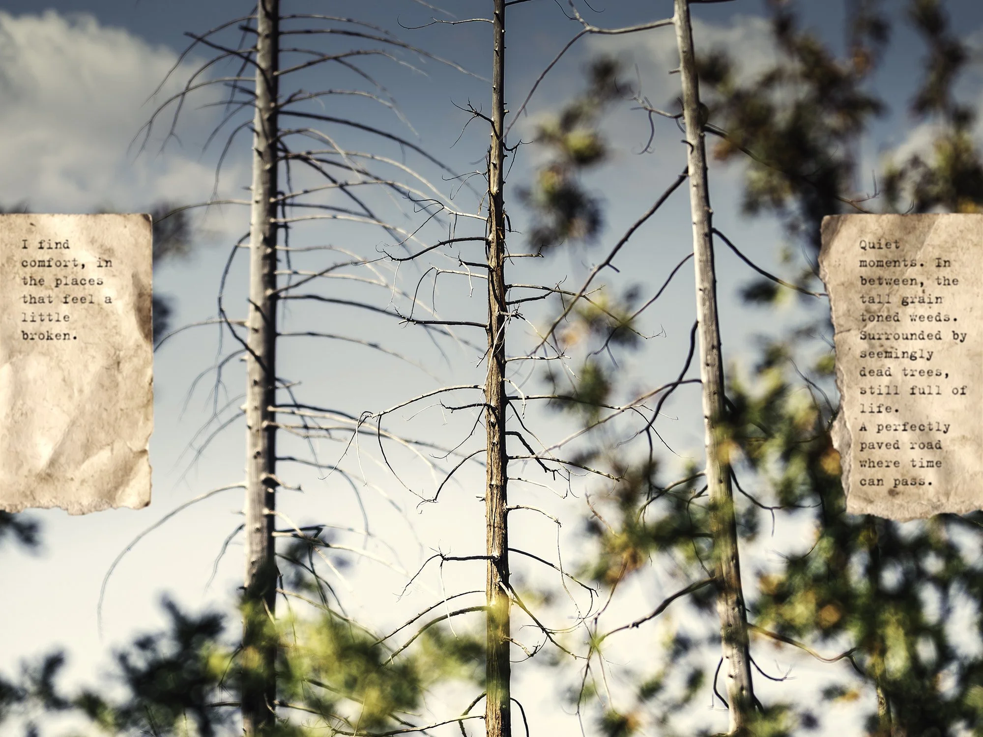 Broken places, 13/09/2025