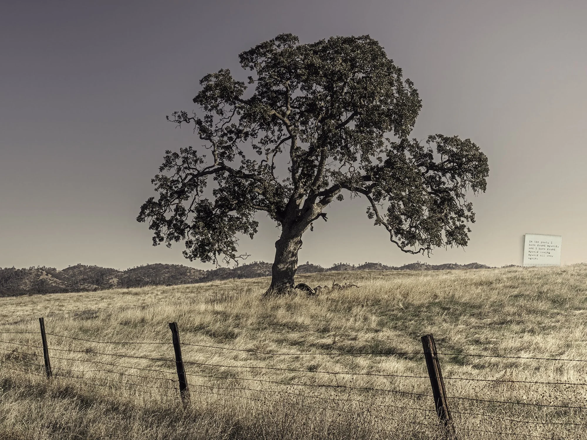 In the Past, 02/11/2025