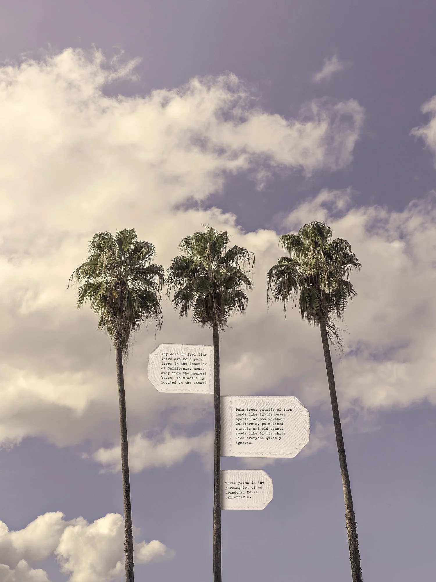 Three Palms, 14/11/2025