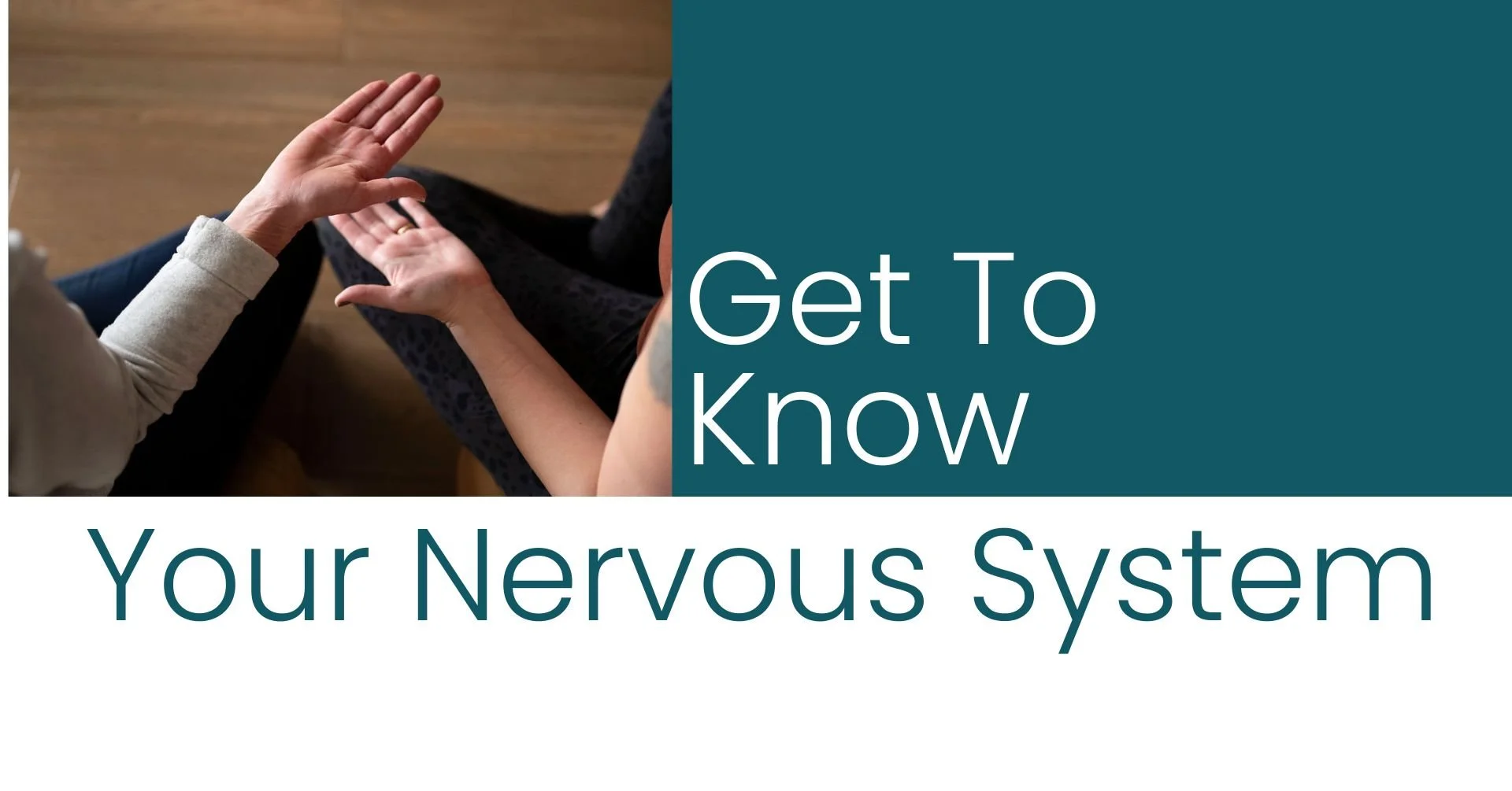 Get To Know Your Nervous System, 3/16, 2:00- 4:00 pm, Jen Donovan of Soothe Wellness