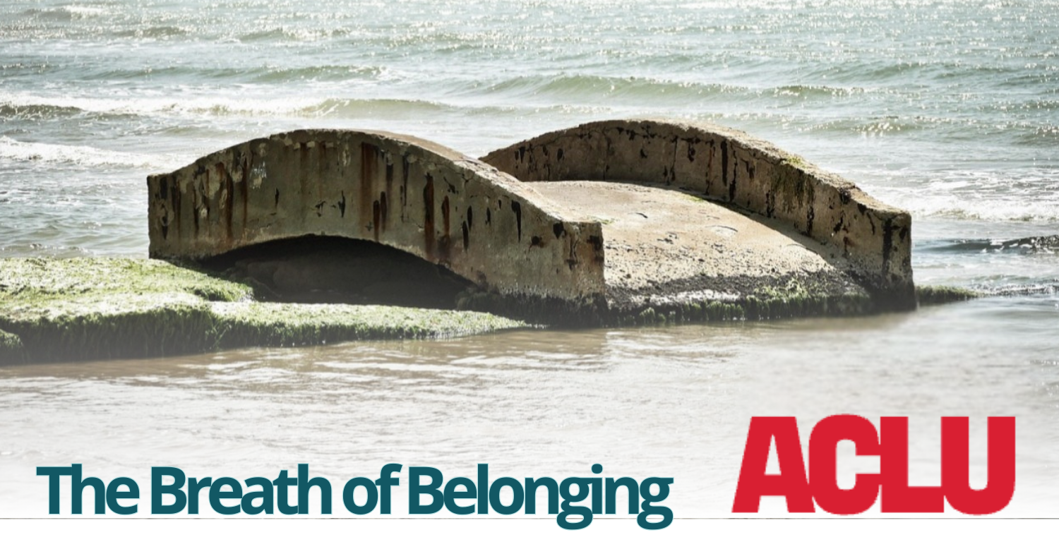 Breath of Belonging: Benefiting ACLU, 8,23, 2- 3:30 pm, Jonina T.
