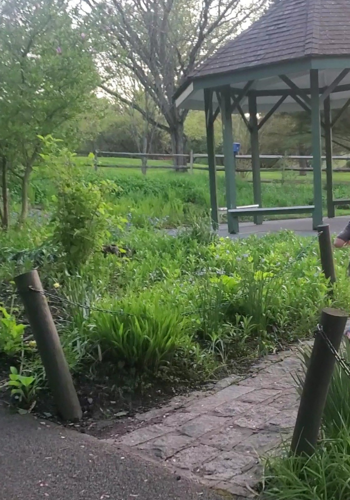 Reiki Share Lancaster PA