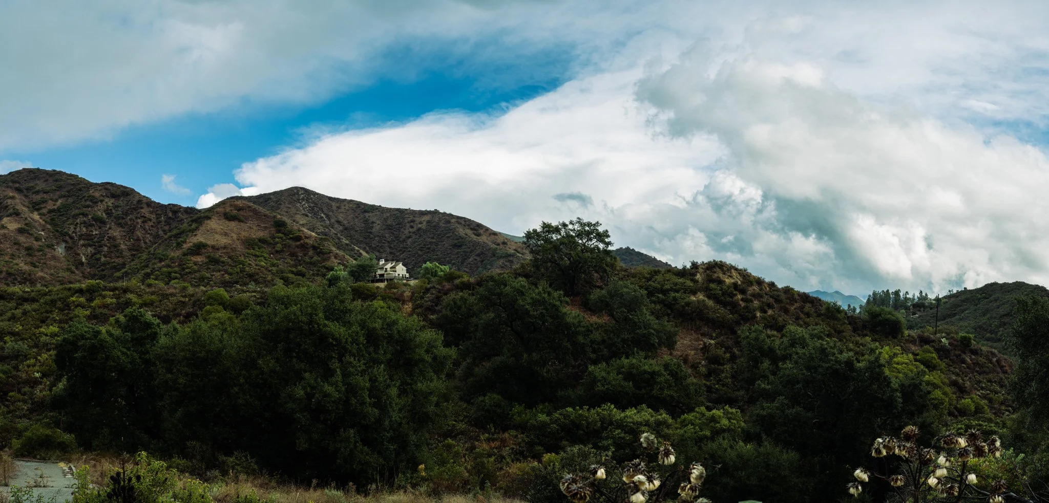 DSC_6103-Pano-2.jpg