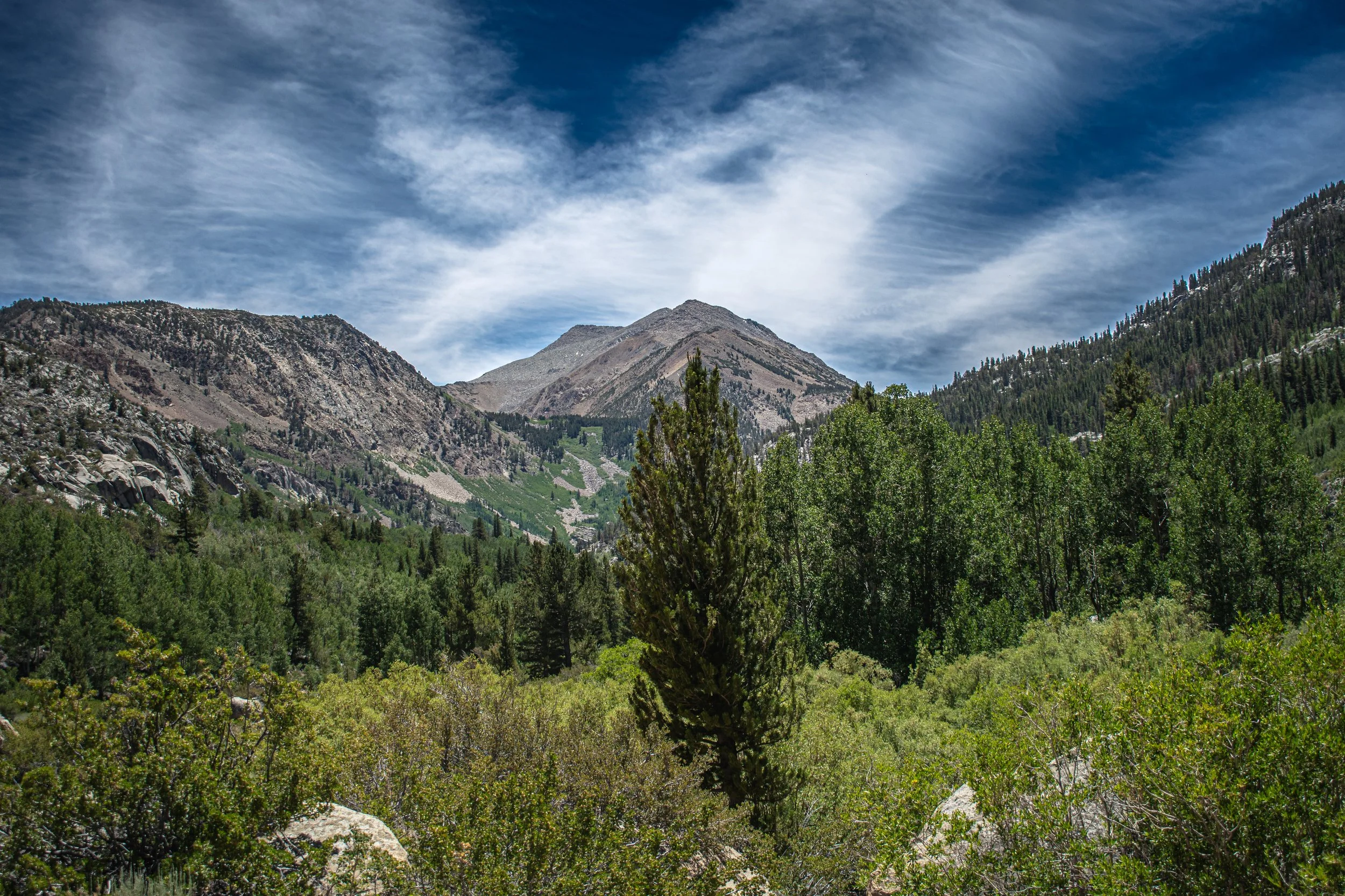 DSC_7990.jpg