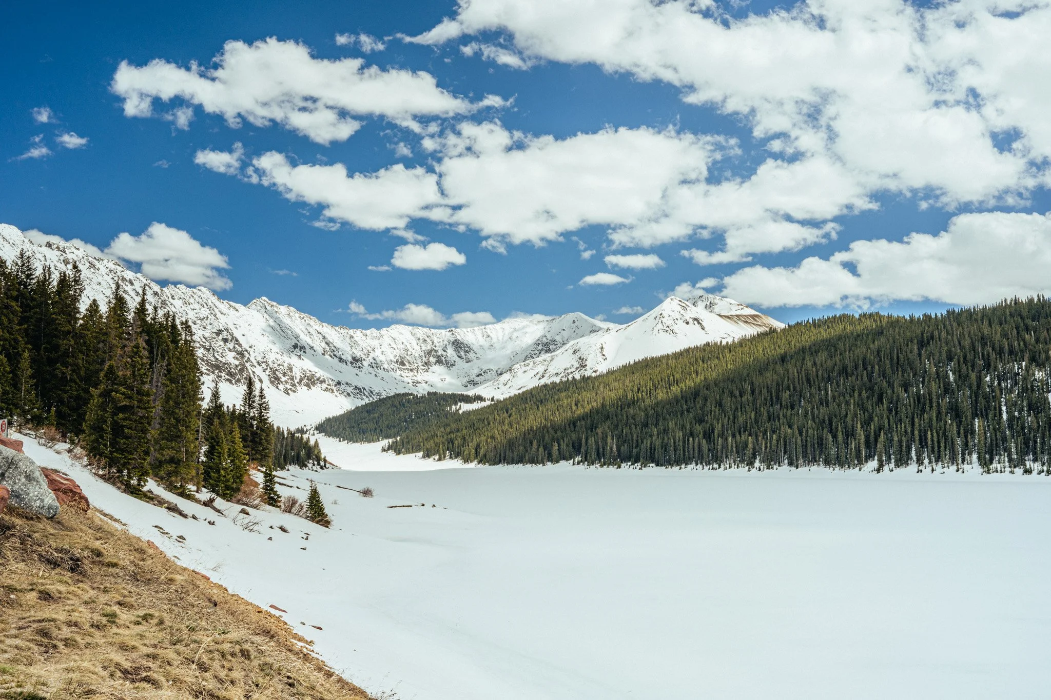 DSC_0317-2.jpg