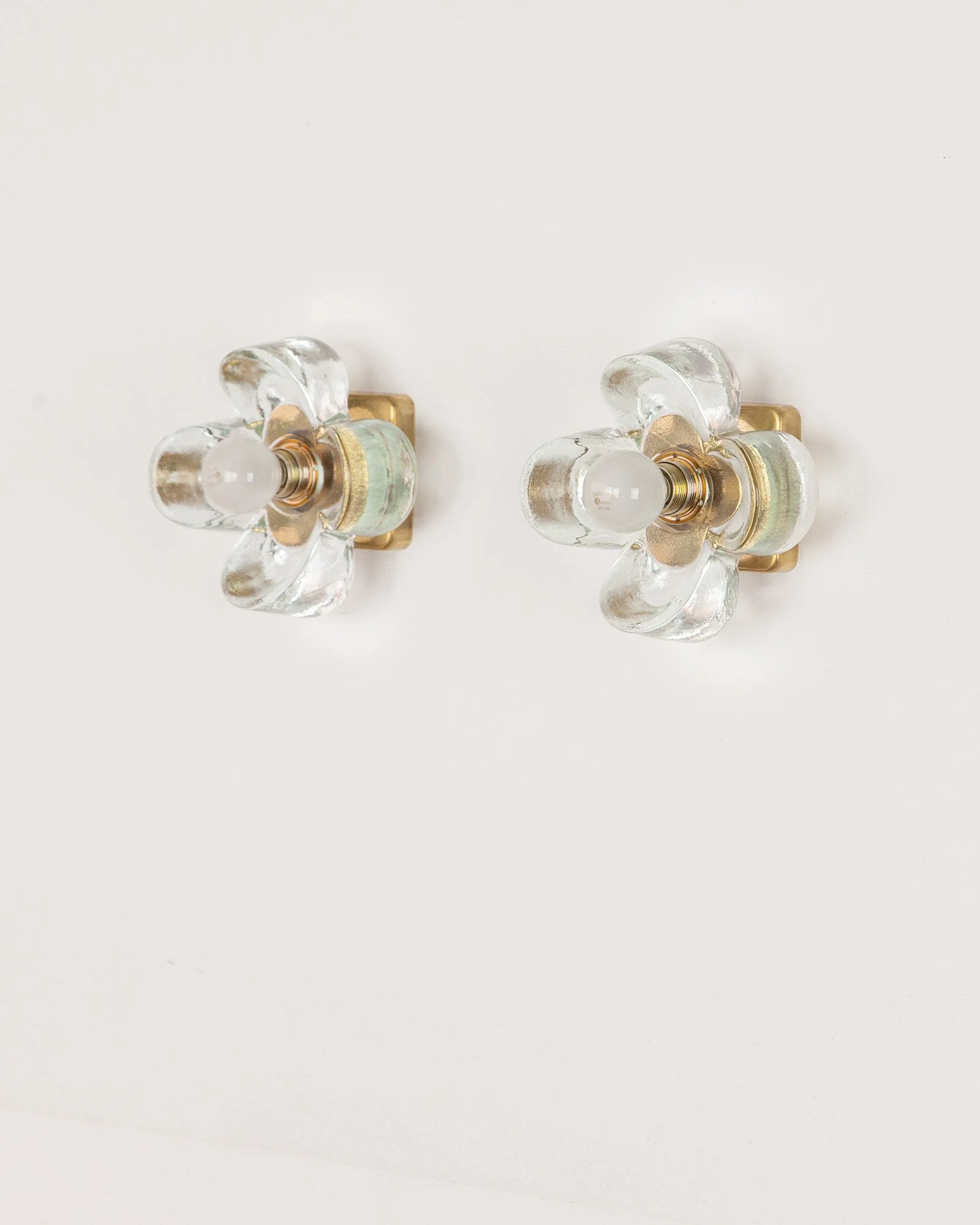 Aesthetiker Wall Light Sische Flower Glass Brass_0013__MG_2489.jpg