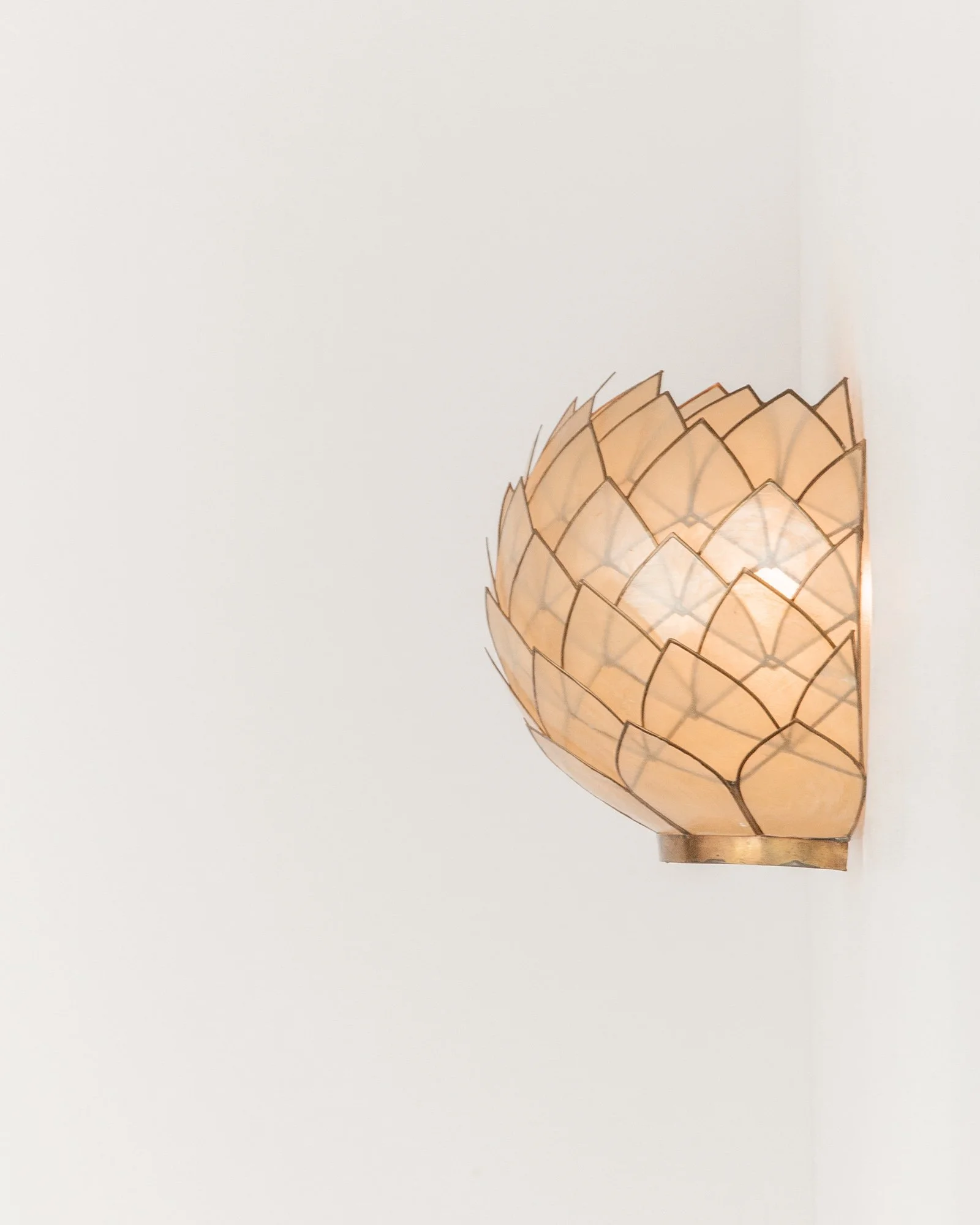 Aesthetiker Wall Lights Sconce Capiz Nacre Flower Petals Brass_0005__MG_1390 - B.jpg