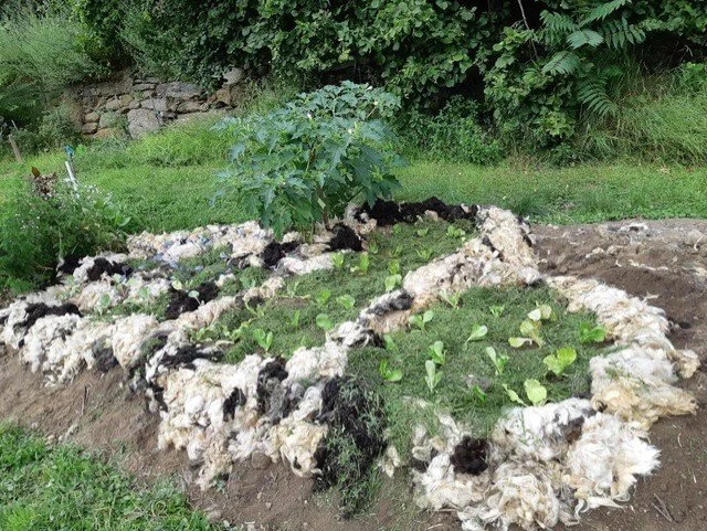 thumbnail_WhatsApp Image 2023-02-22 at 11.55.52.jpg