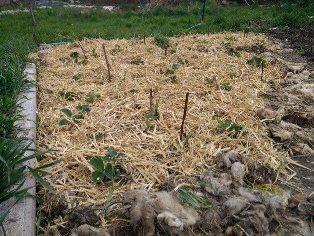 thumbnail_WhatsApp Image 2023-02-22 at 11.55.53.jpg