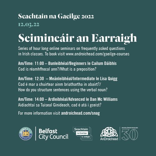 AnDroichead-Seachtain-na-Gaeilge-2022-Seimineair+(004).jpg