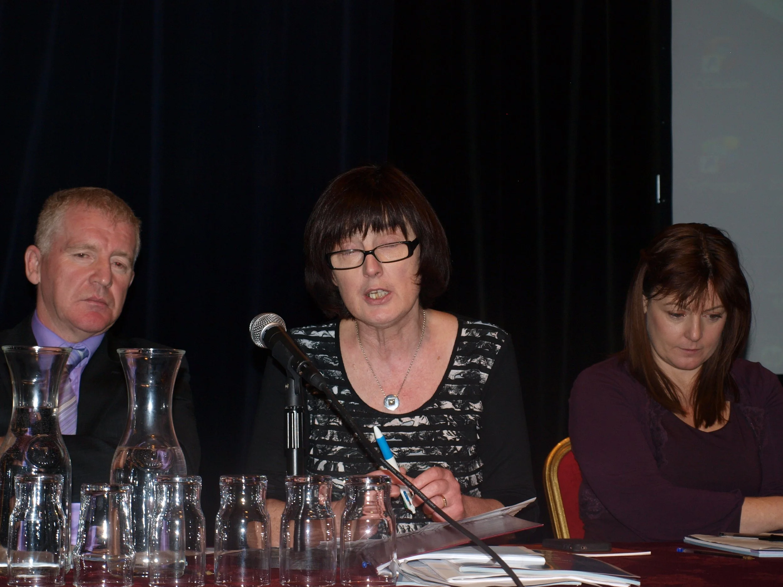 sainriachtanais 3.JPG