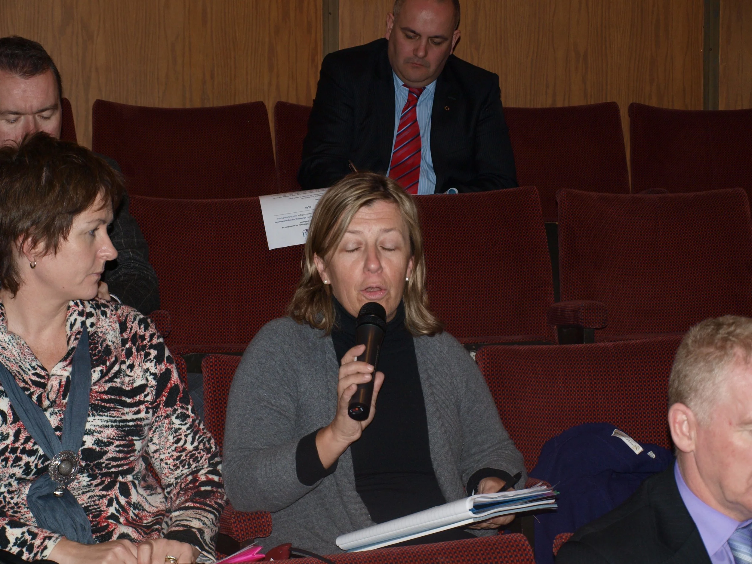 sainriachtanais 4.JPG