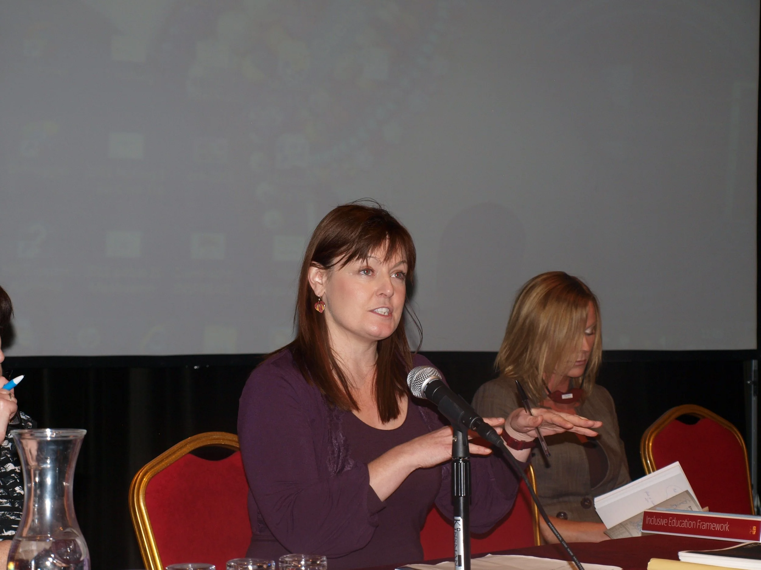 sainriachtanais 2.JPG