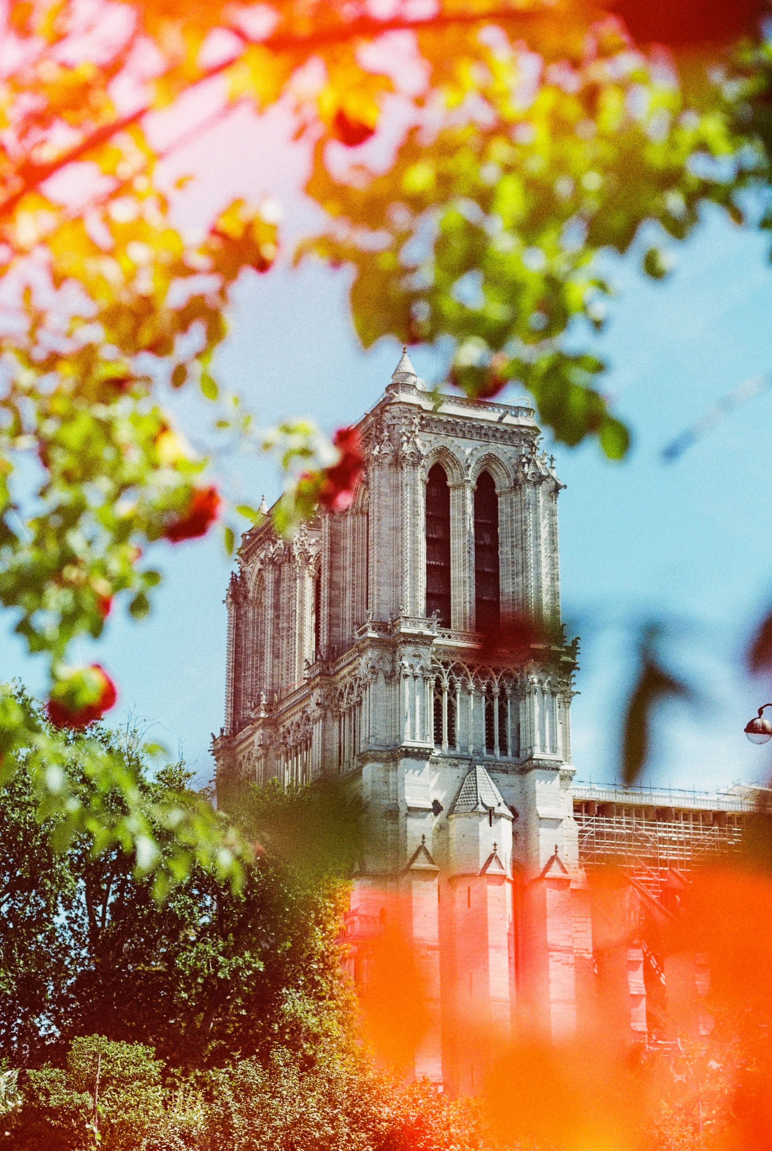 View of the Notre Dame Cathedral in Paris, France, seen through colorful blurred foliage with a blue sky background.