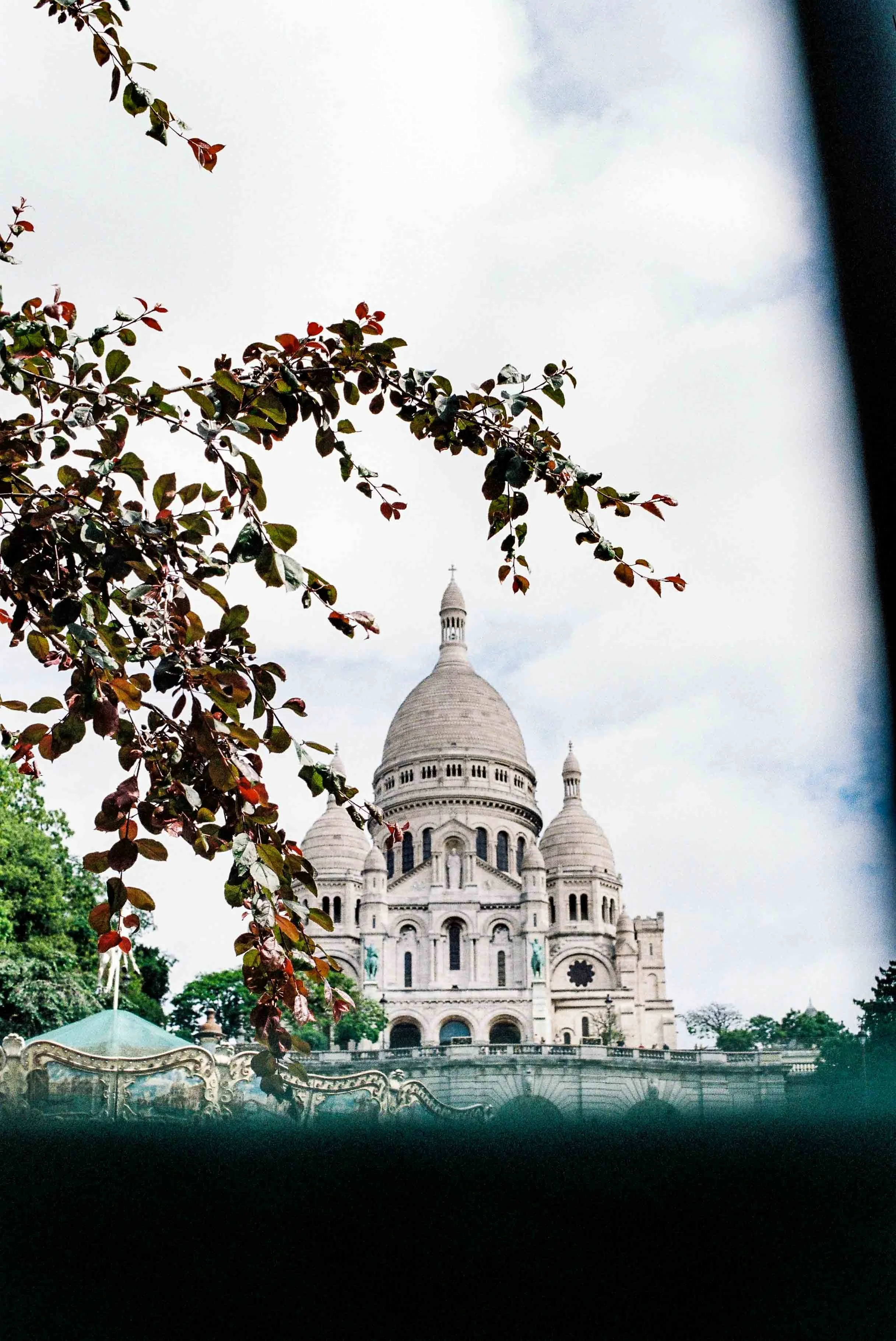 View of the Sacré-Cœur Basilica in Paris, framed by tree branches and leaves in the foreground.