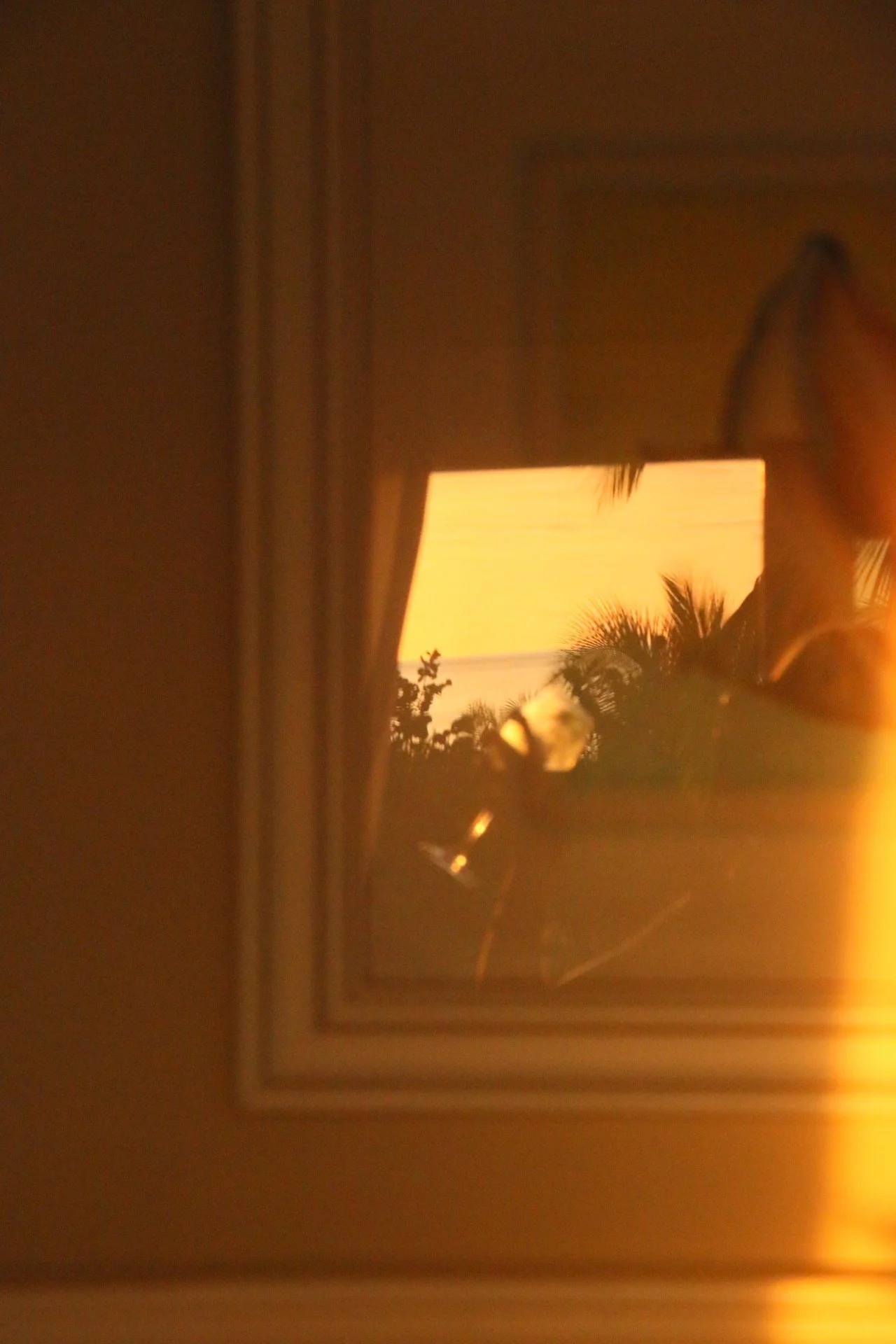 Reflection of woman drinking a cocktail at sunset