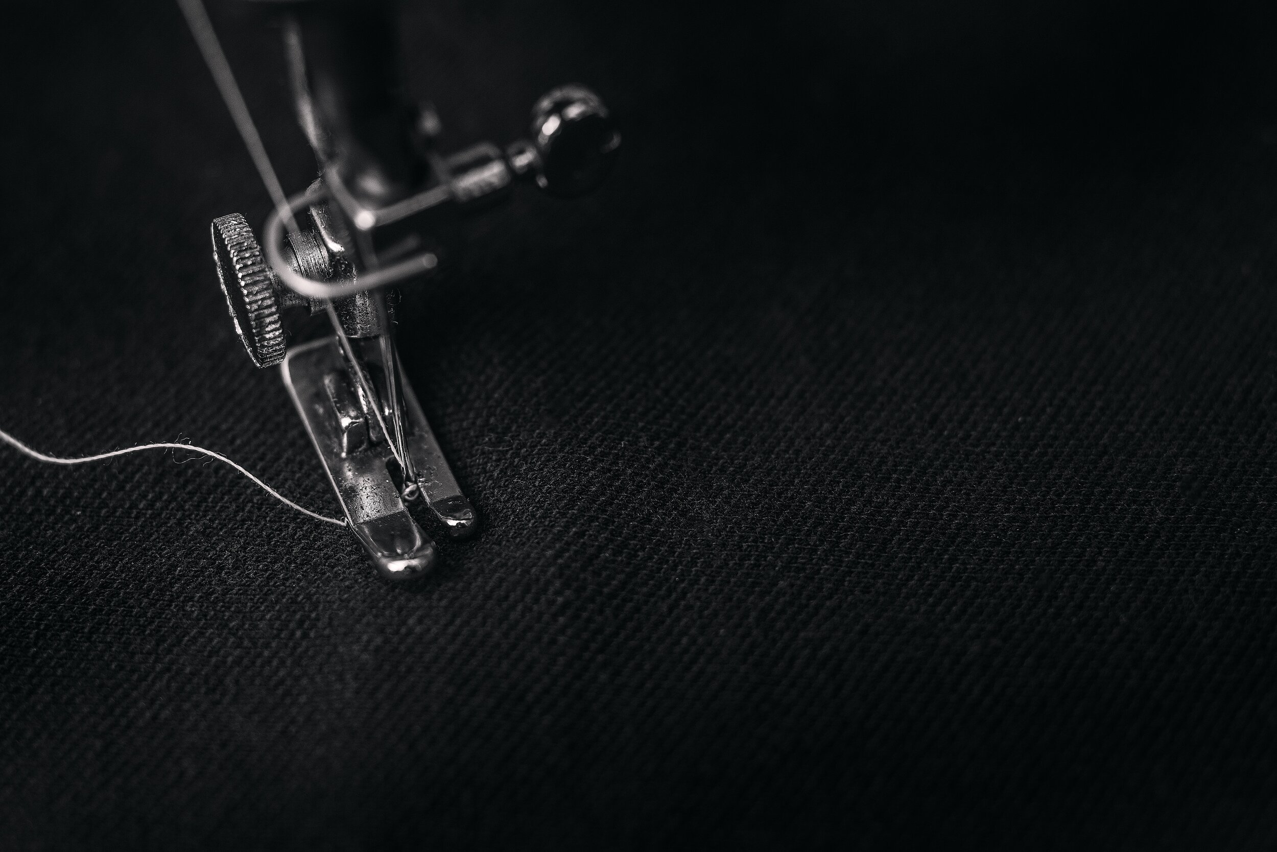 Photo by Alexander Andrews on Unsplash