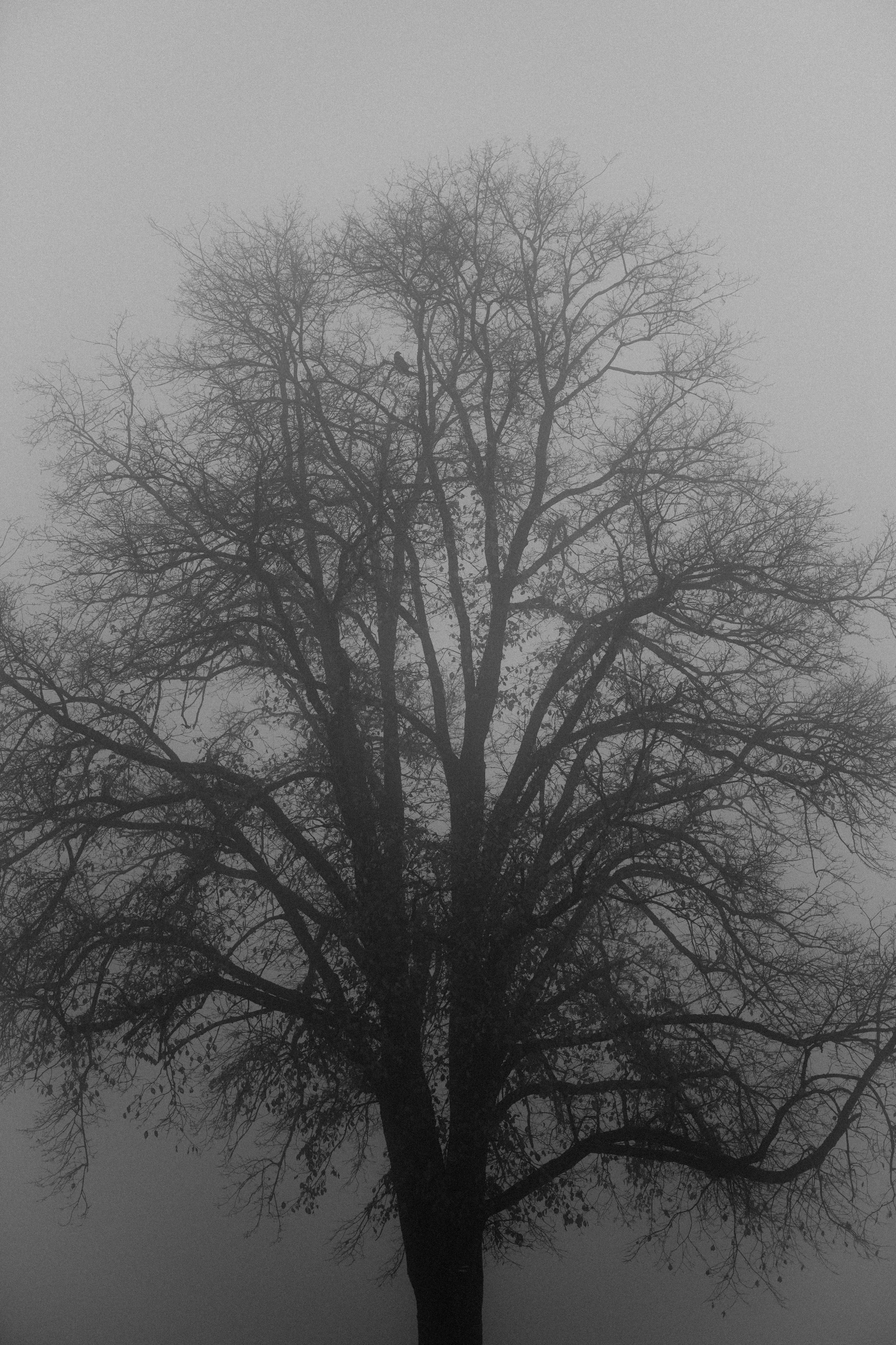 DSC06094.jpg