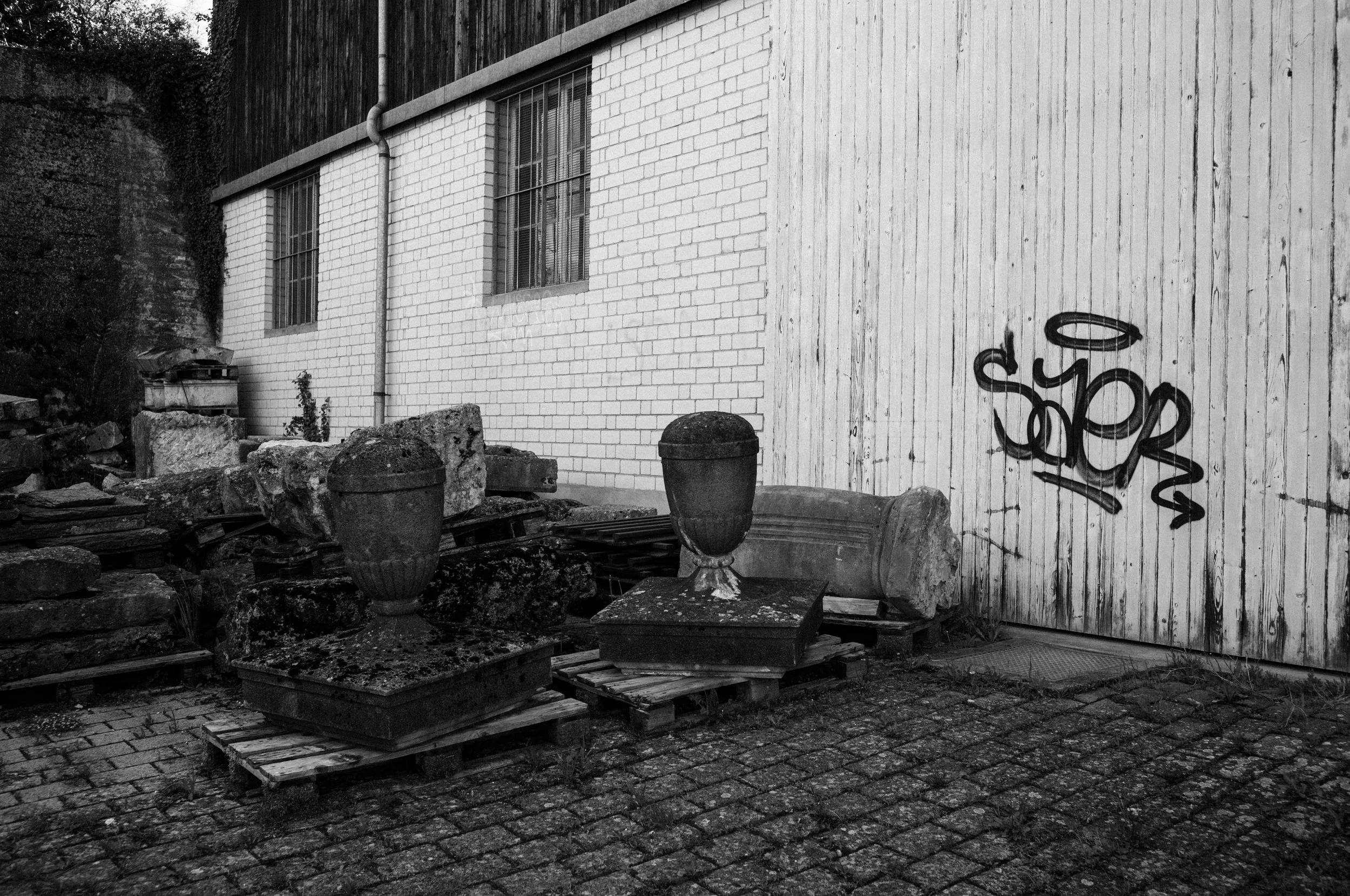 L1001016.jpg