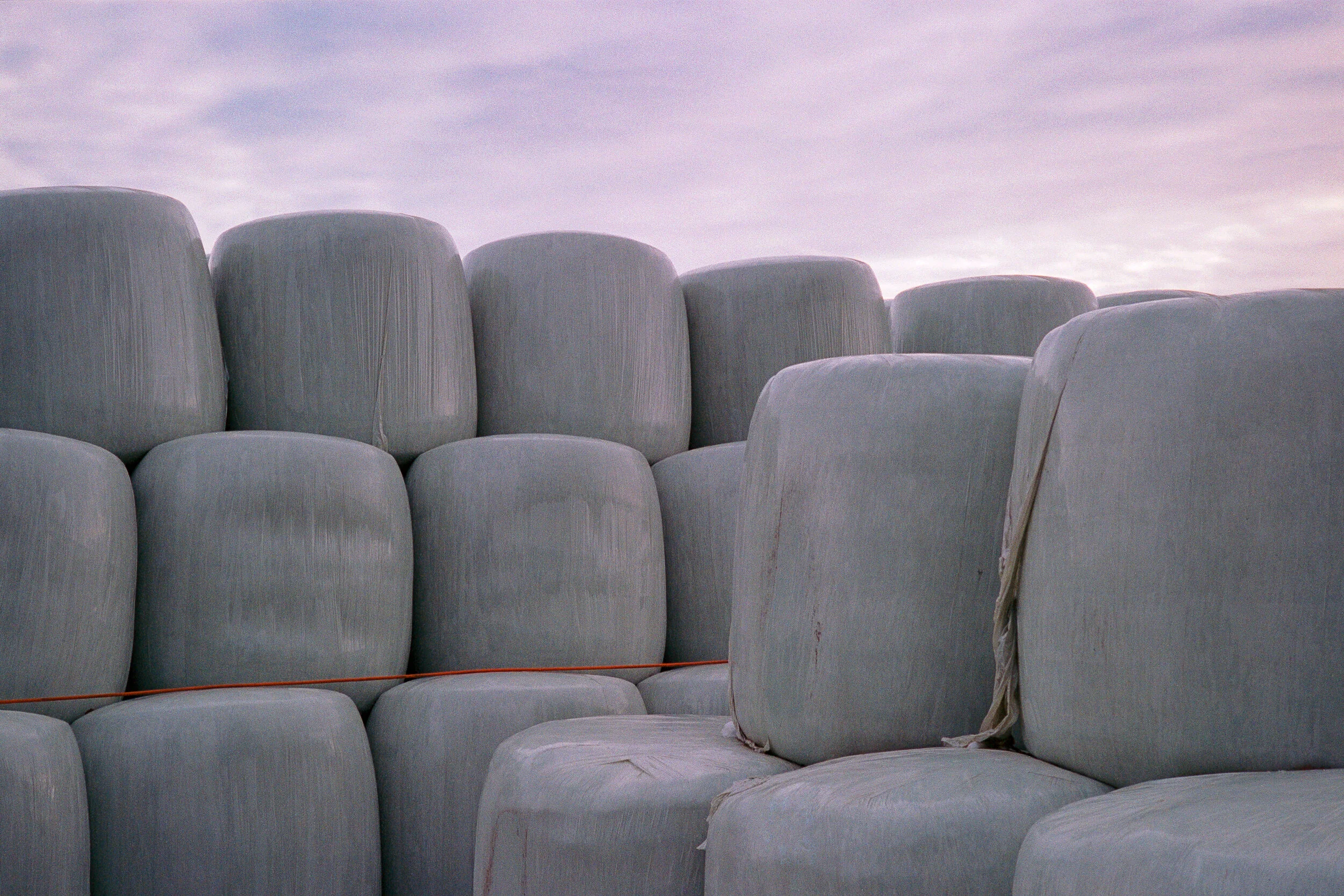 Untitled (27).jpg