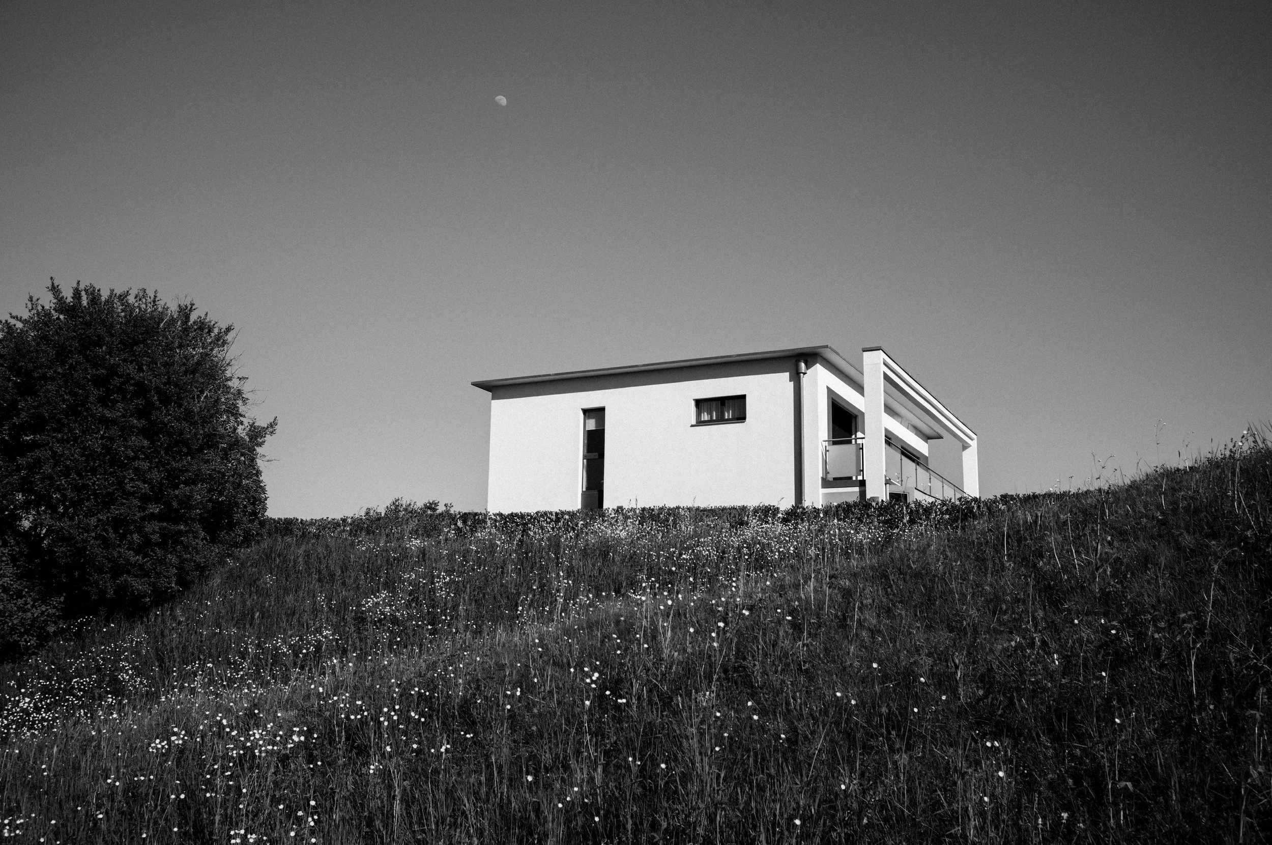 L1001012.jpg