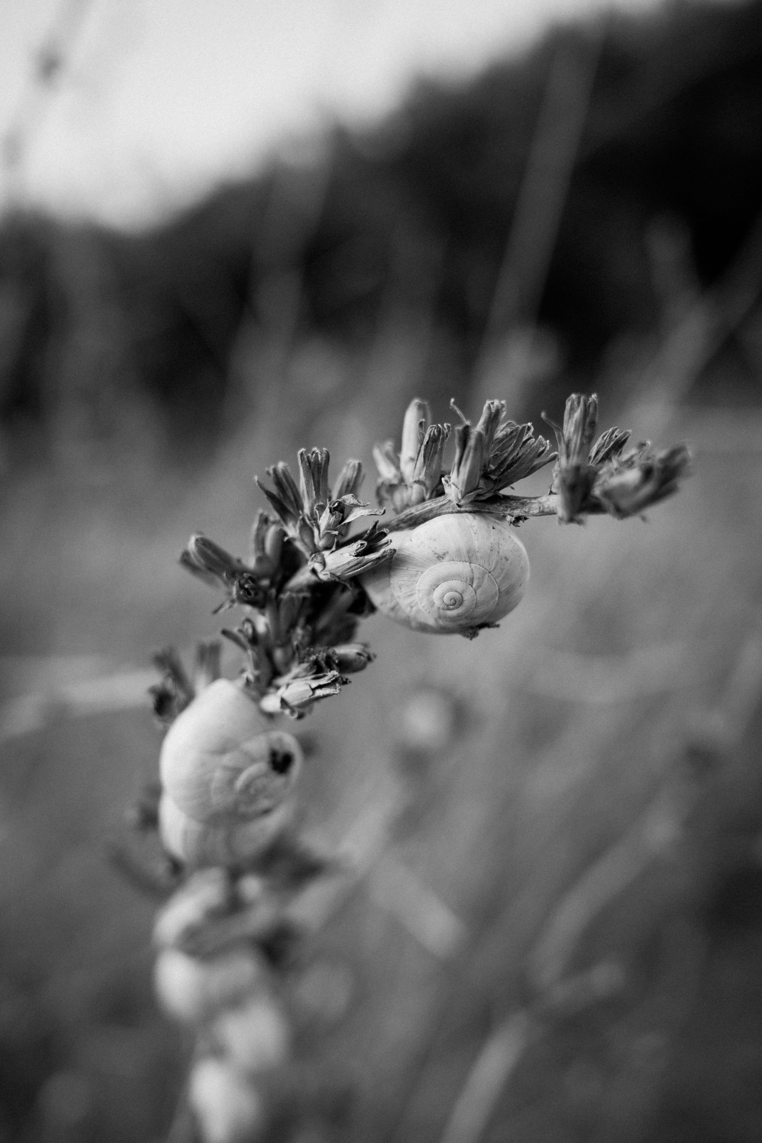 R0000680.jpg
