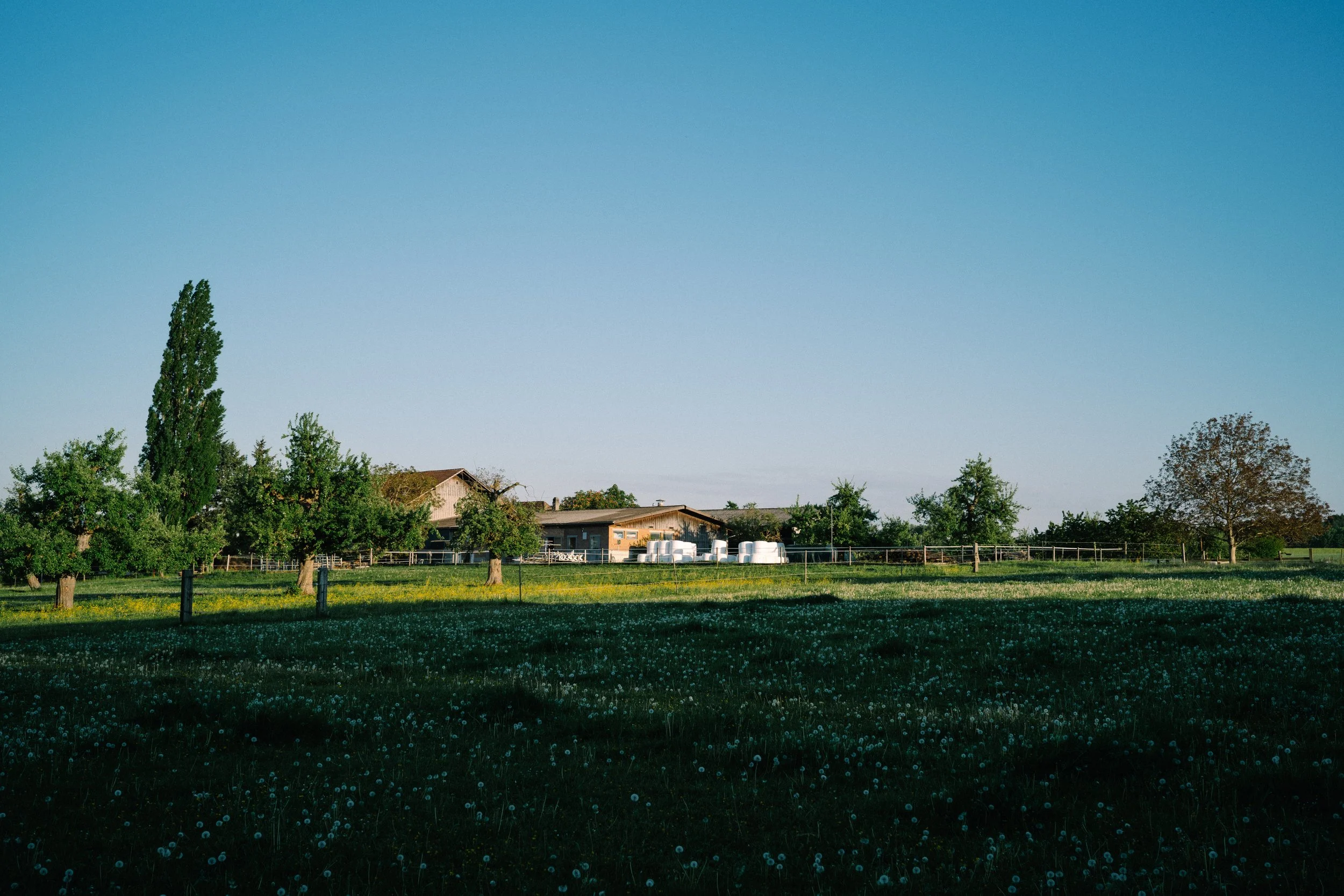 L1001136-2.jpg