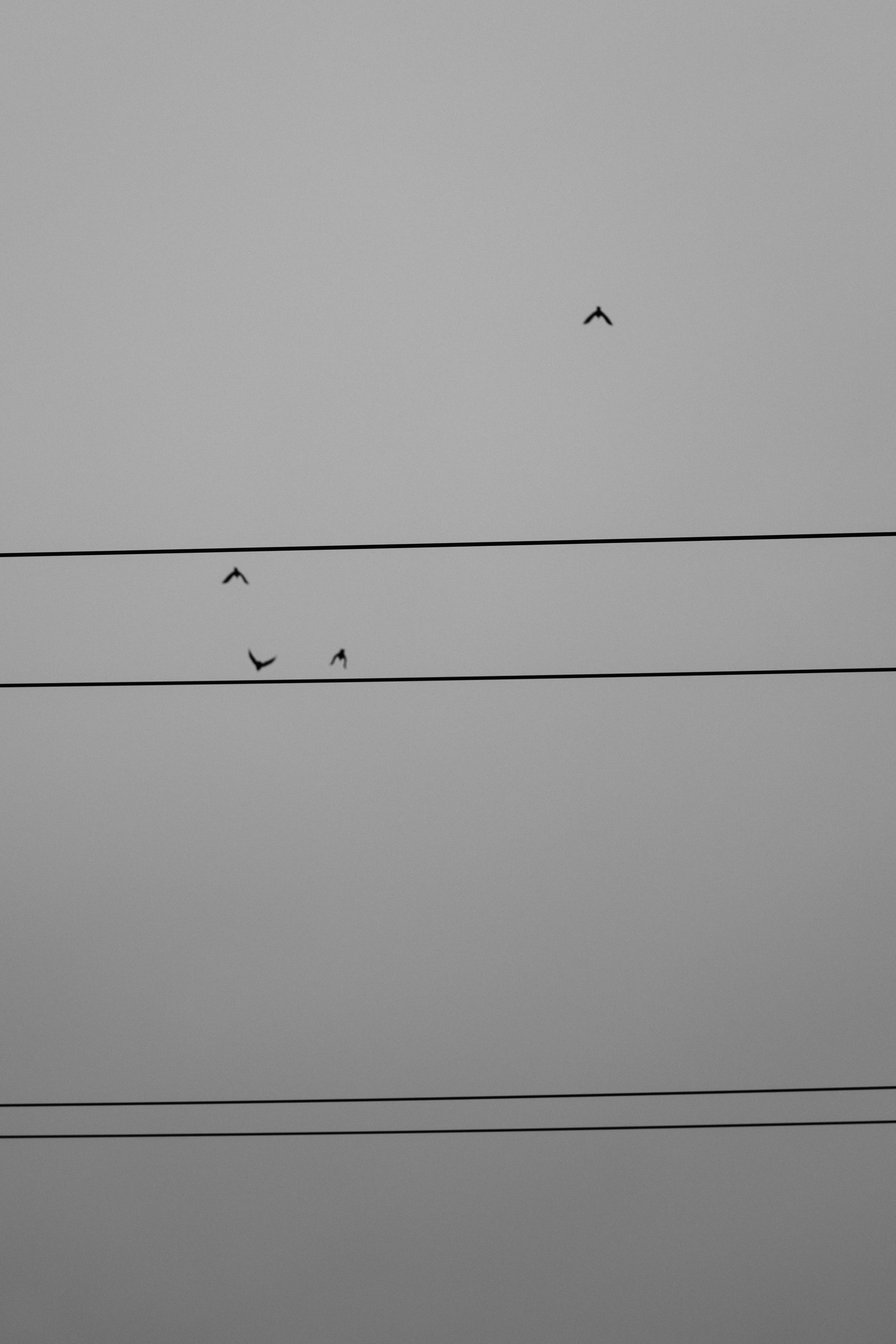 L1010461.jpg