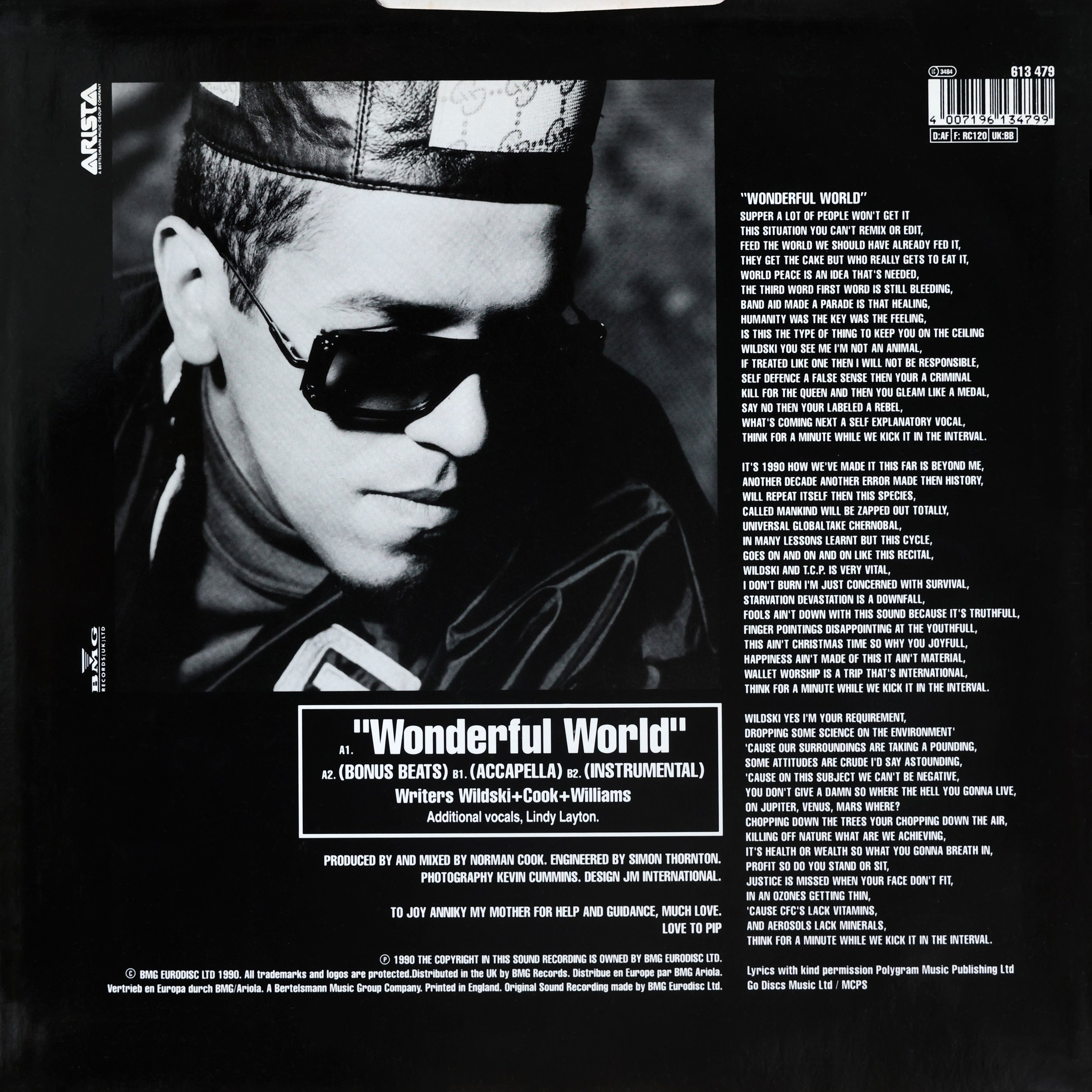 M.C. Wildski - Wonderful World