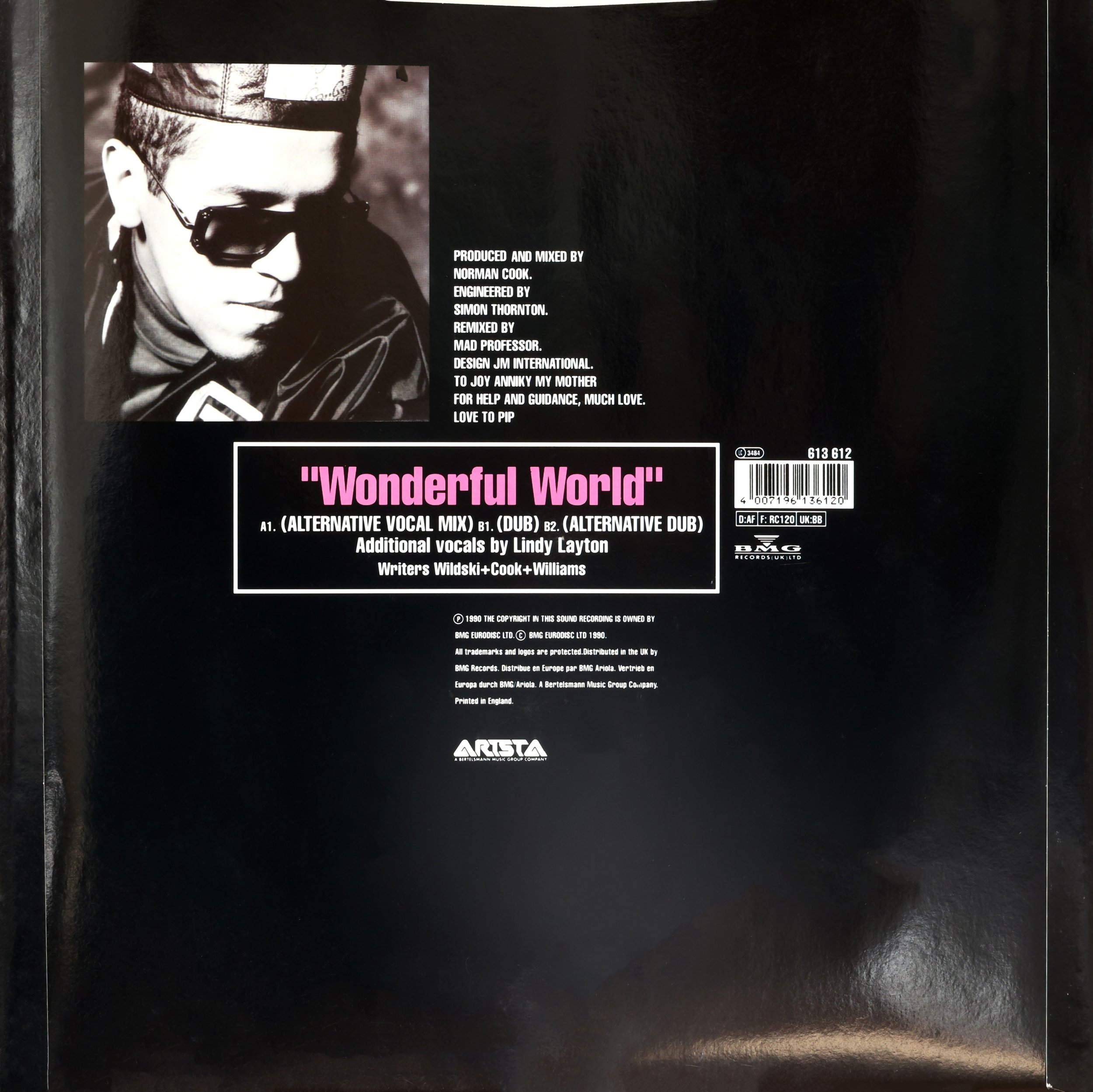 M.C. Wildski - Wonderful World