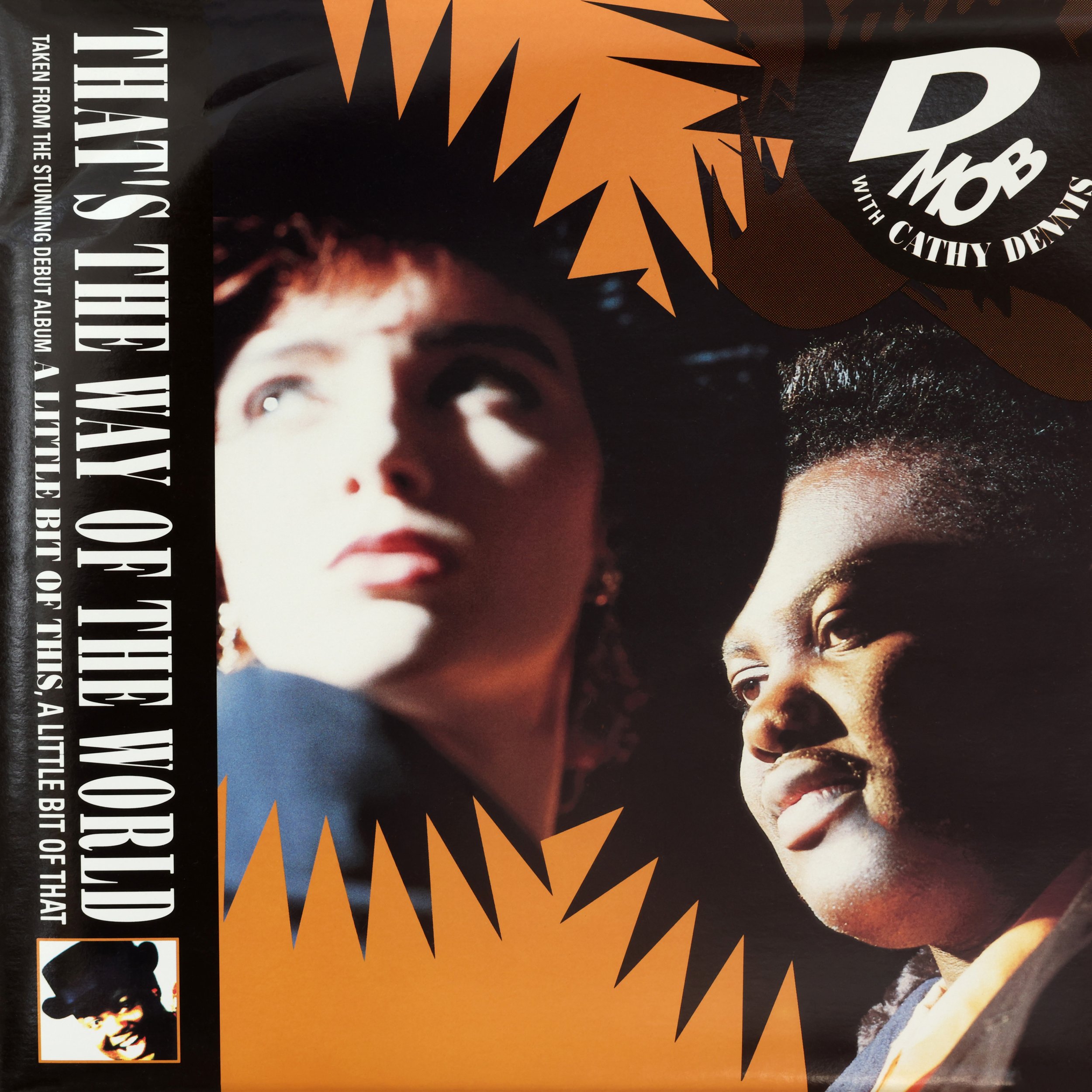 D Mob with Cathy Dennis / That’s The Way Of The World
