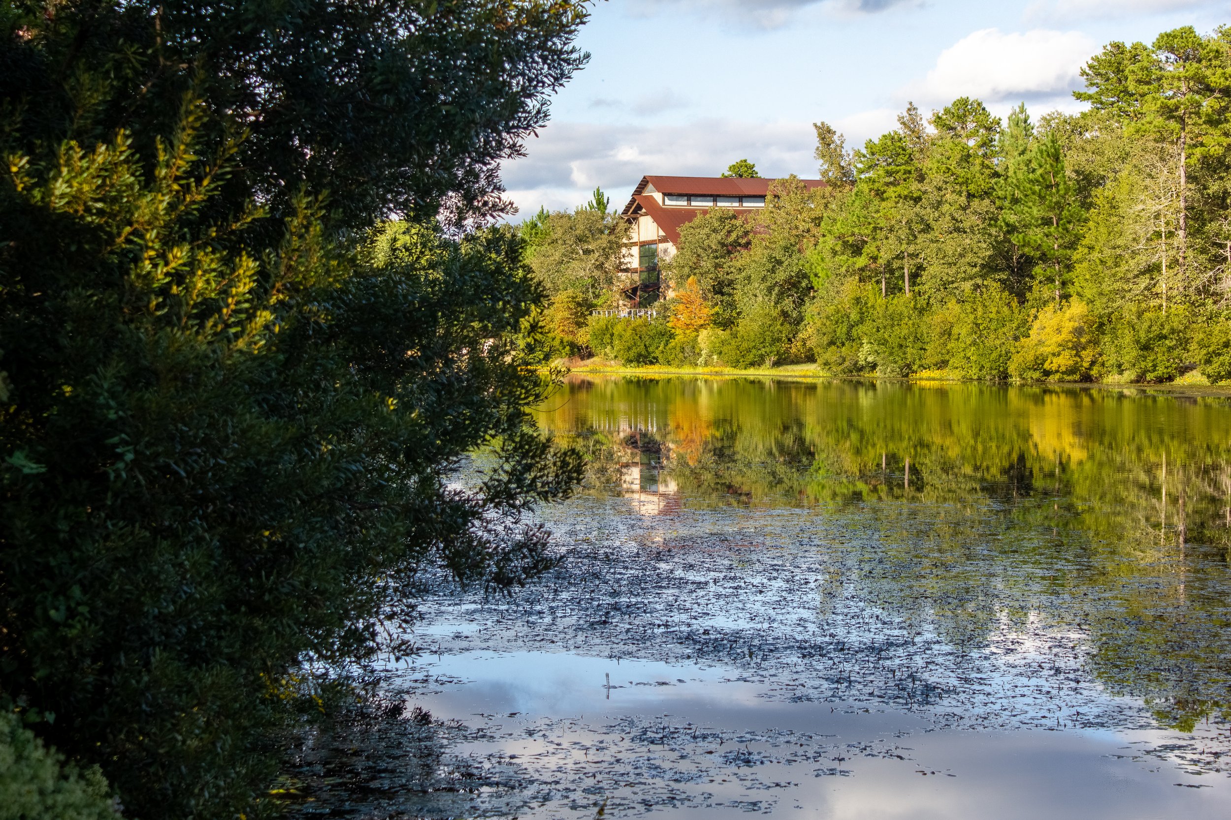 _MG_0014-HDR.jpg