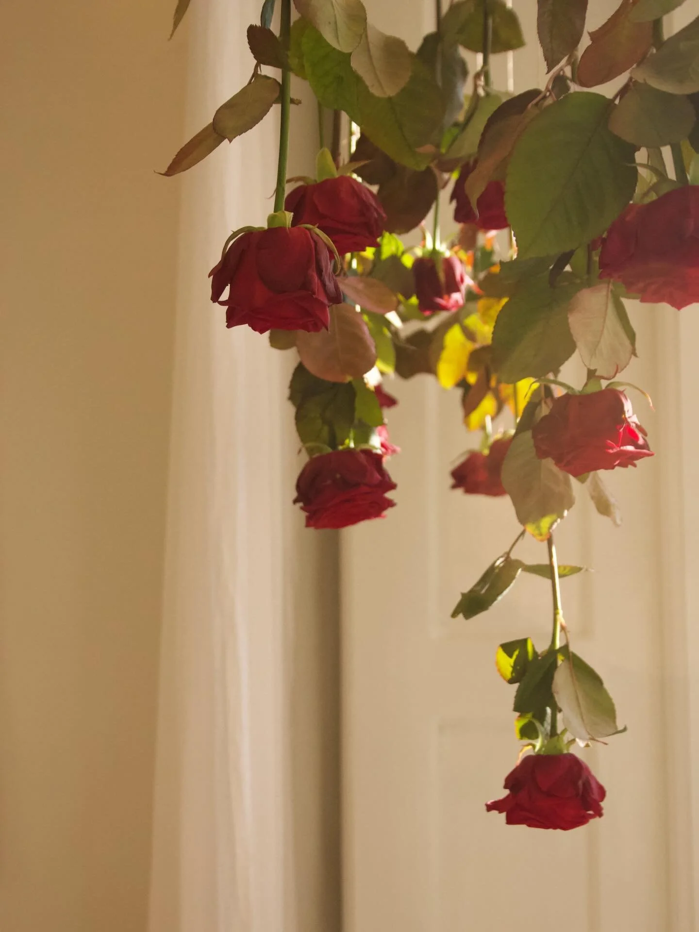 Valentine&rsquo;s Day is just around the corner 💌
Little sparks of love, made to be worn every day