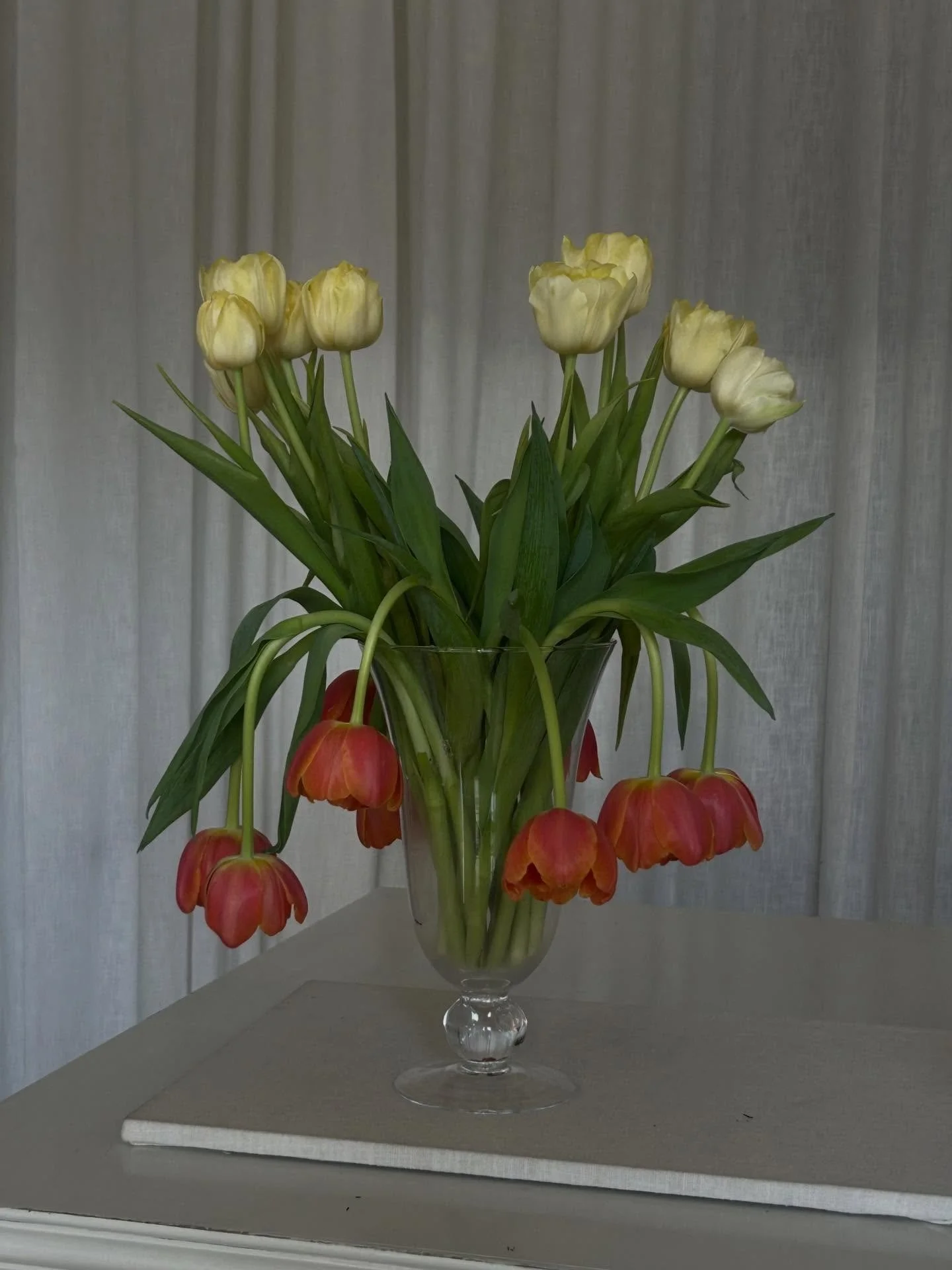 K&aelig;re kunder husk vi holder lukket i dag. Vi er nemlig p&aring; vej til smykkemesse I M&uuml;nchen. Vi har &aring;bent igen mandag som vi plejer. K&aelig;rligst Line &amp; Co💖